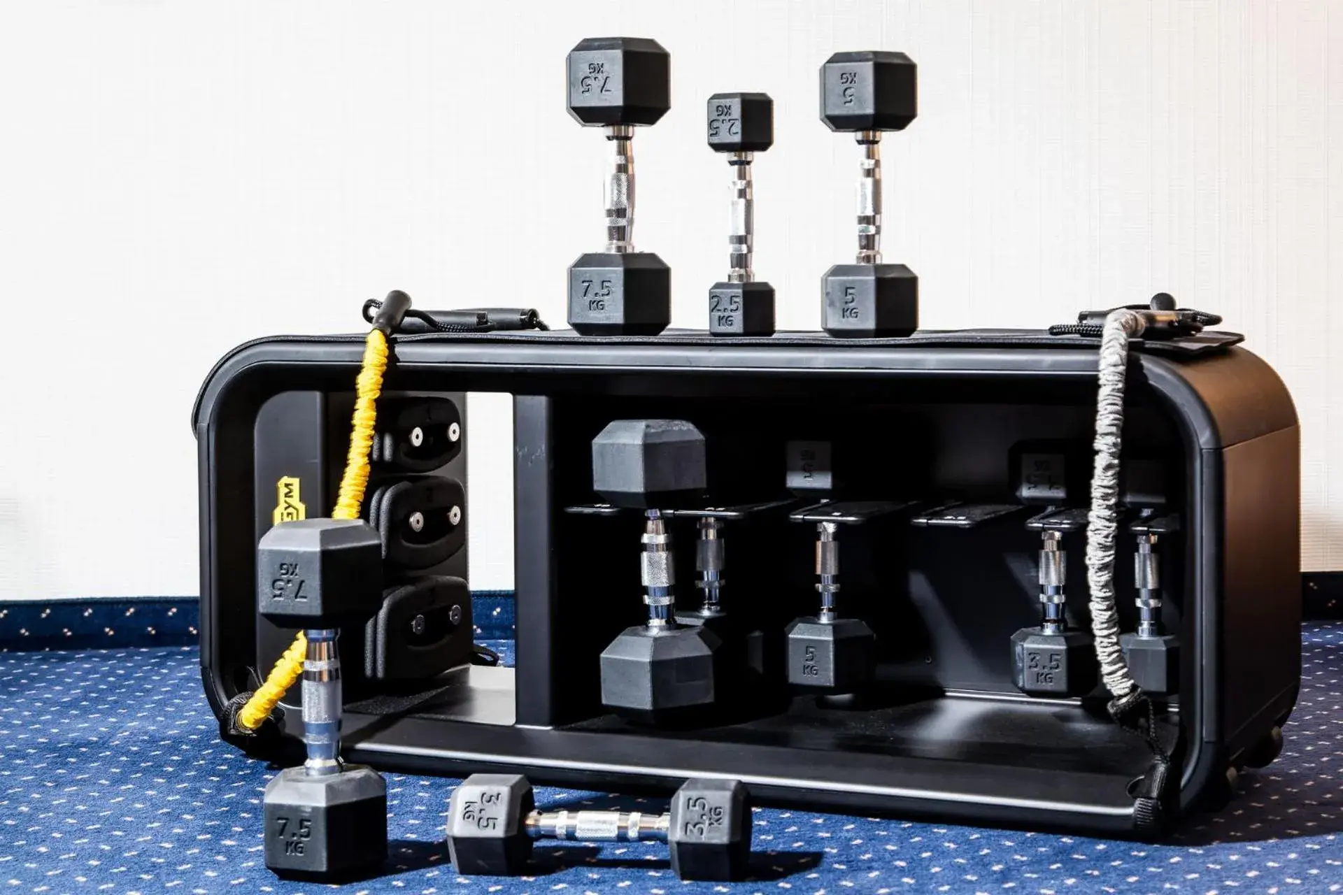 Fitness centre/facilities in Hotel Sagitta Fitness centre/facilities in Hotel Sagitta