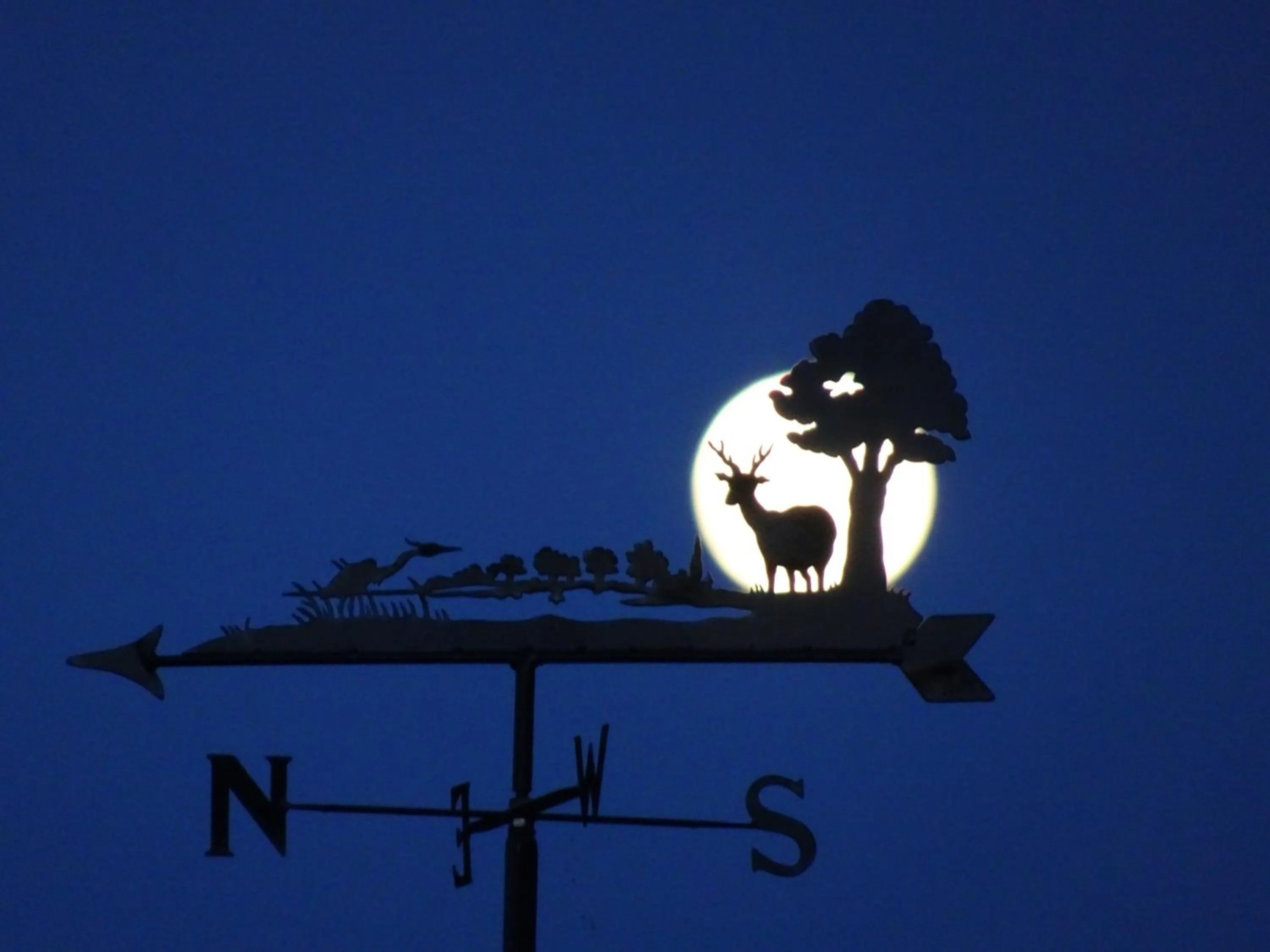 Other in Black Burn Lodge B & B