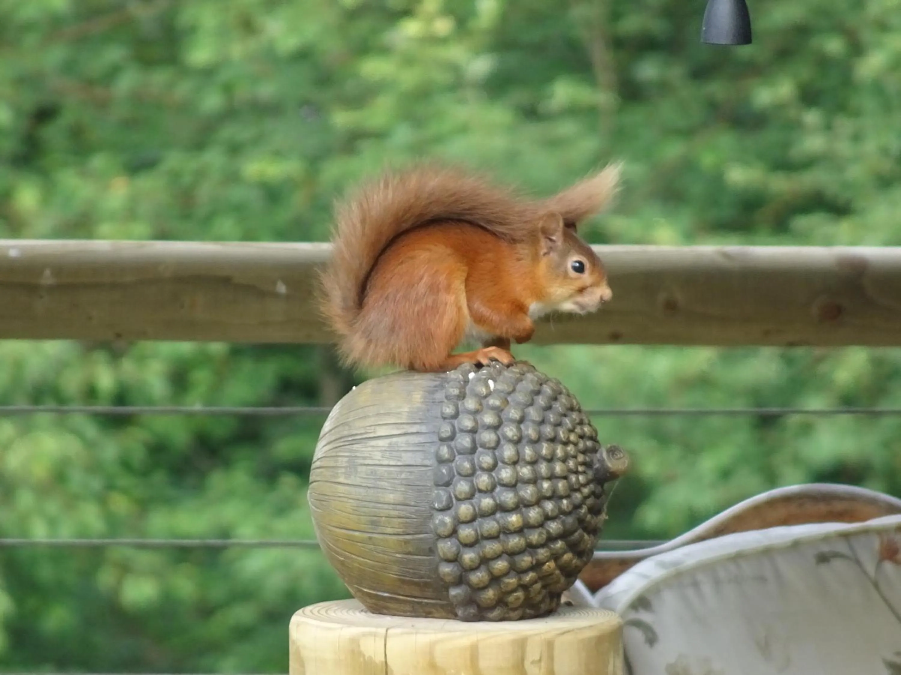 Natural landscape in Black Burn Lodge B & B