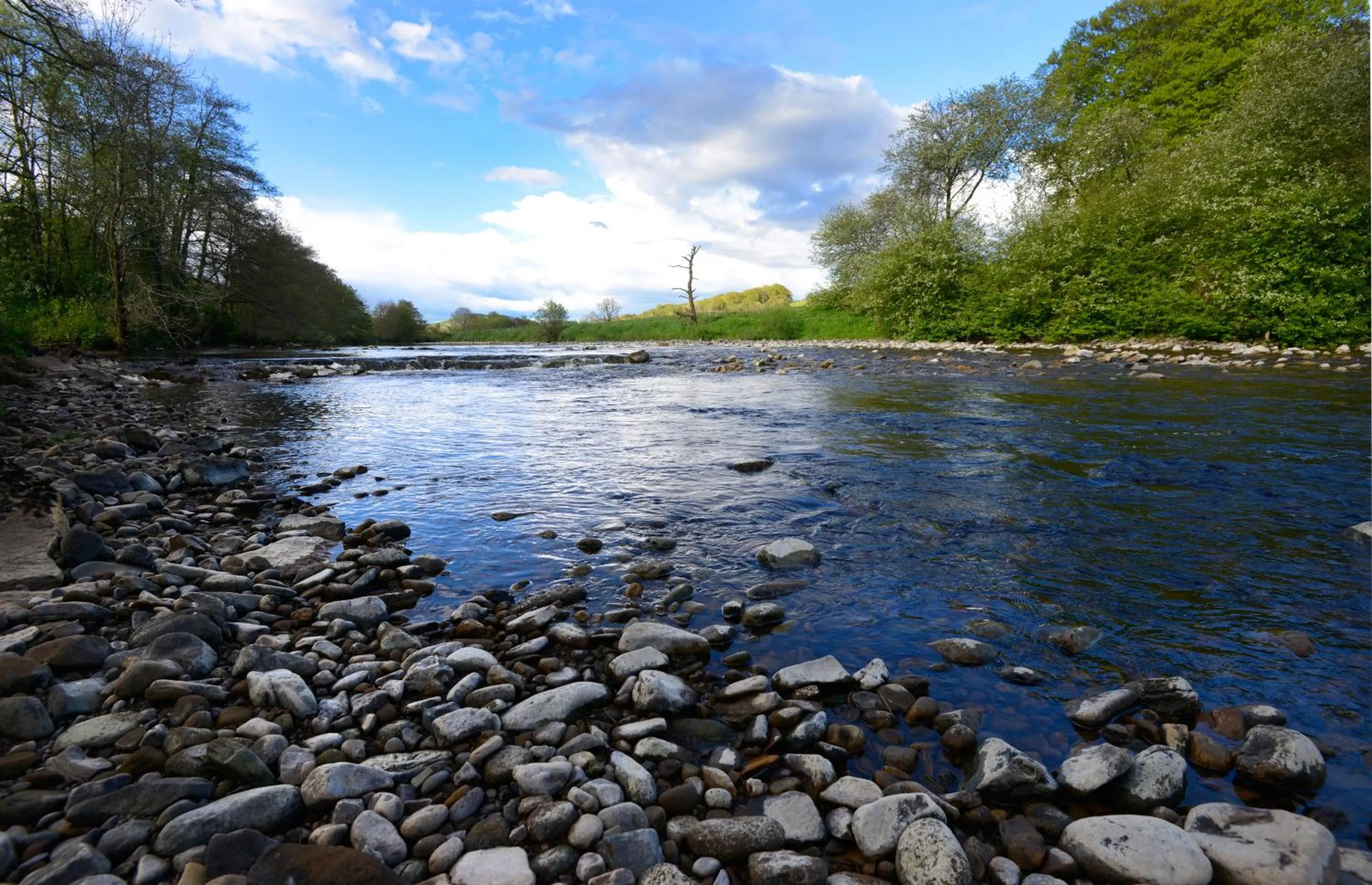 Garden in Black Burn Lodge B & B