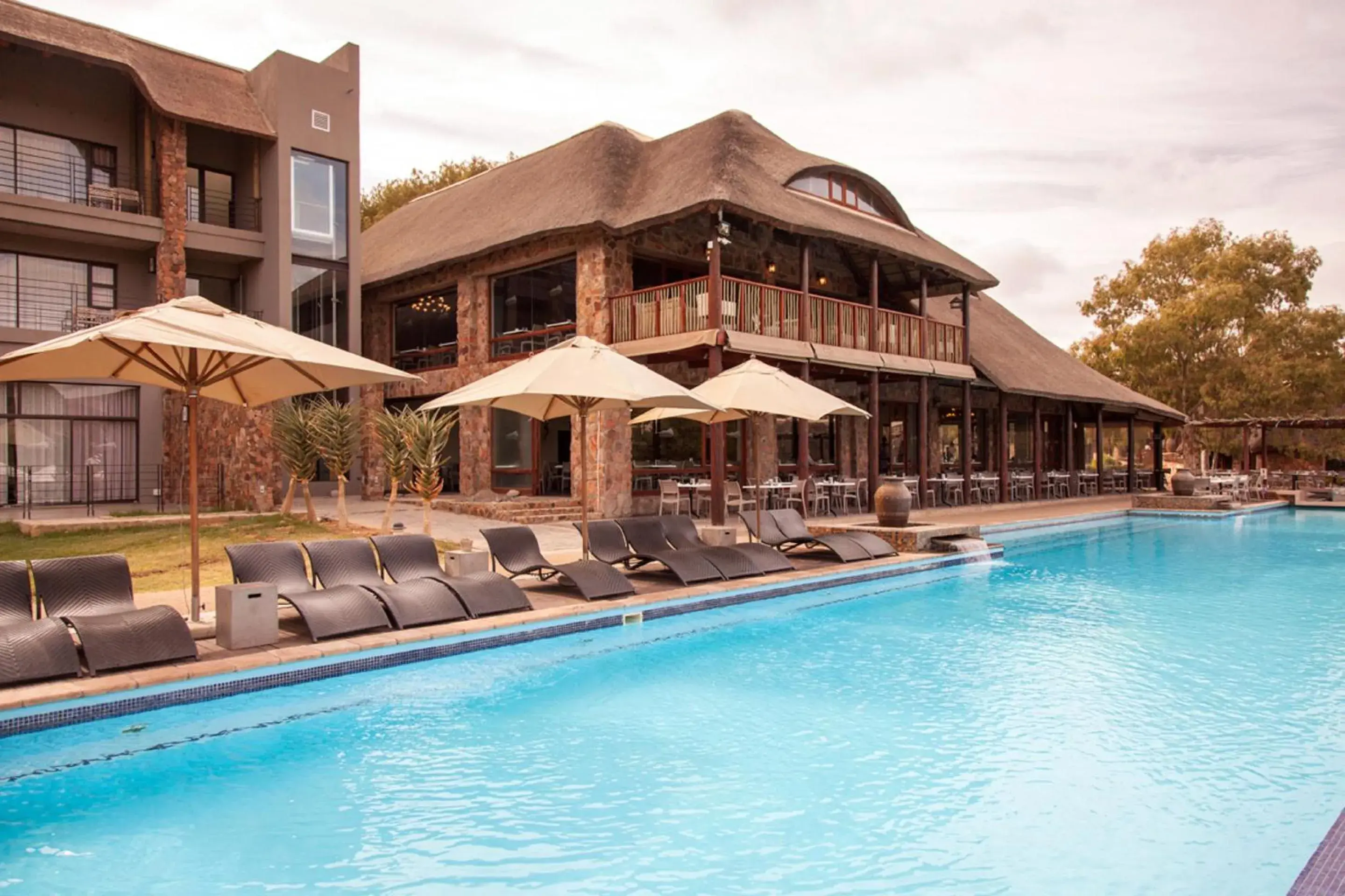 Swimming pool in Aquila Private Game Reserve & Spa Swimming pool in Aquila Private Game Reserve & Spa