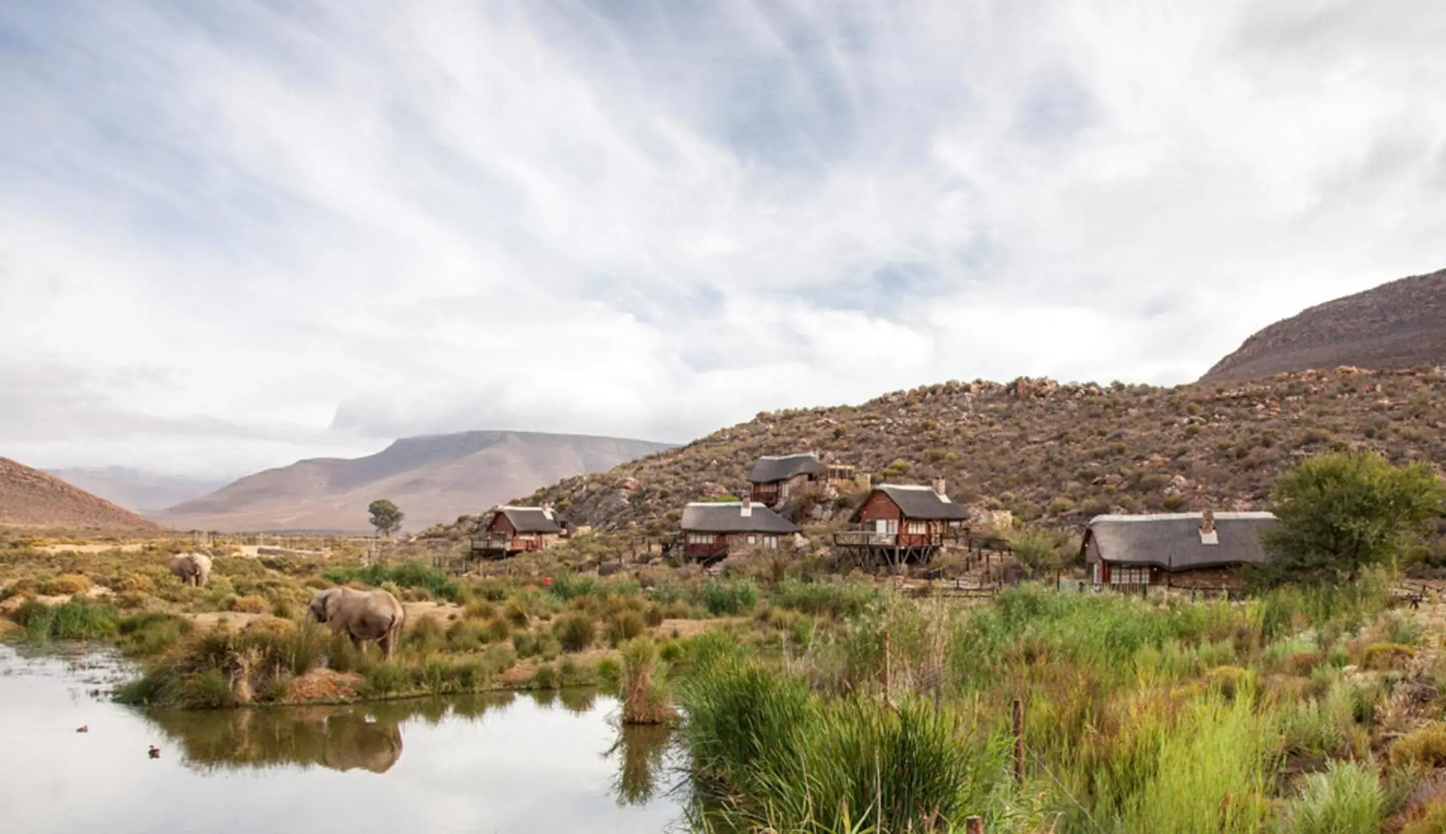 View (from property/room) in Aquila Private Game Reserve & Spa View (from property/room) in Aquila Private Game Reserve & Spa