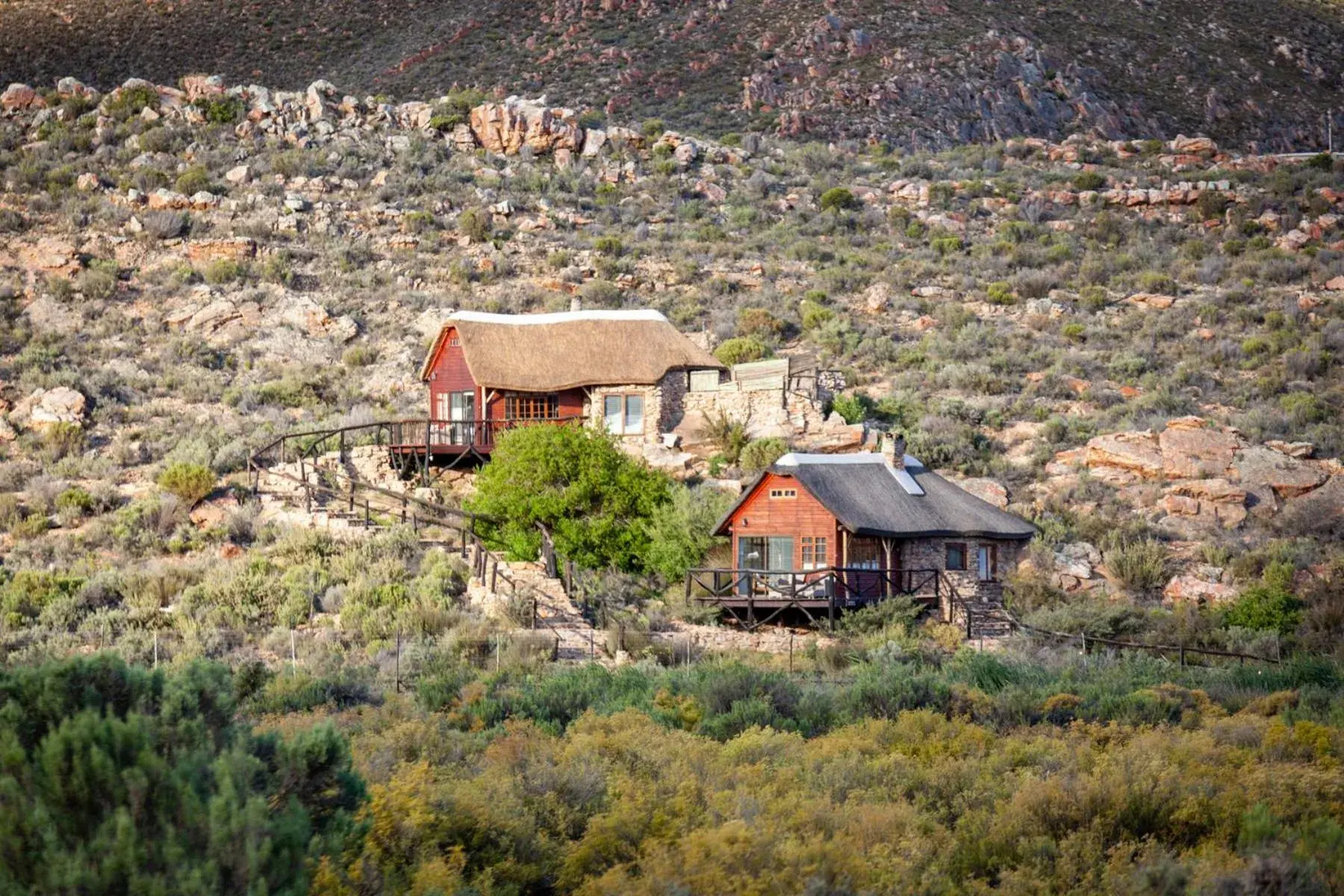 Premier Luxury Cottage King and Twin with 2 Game Drives - single occupancy in Aquila Private Game Reserve & Spa Premier Luxury Cottage King and Twin with 2 Game Drives - single occupancy in Aquila Private Game Reserve & Spa