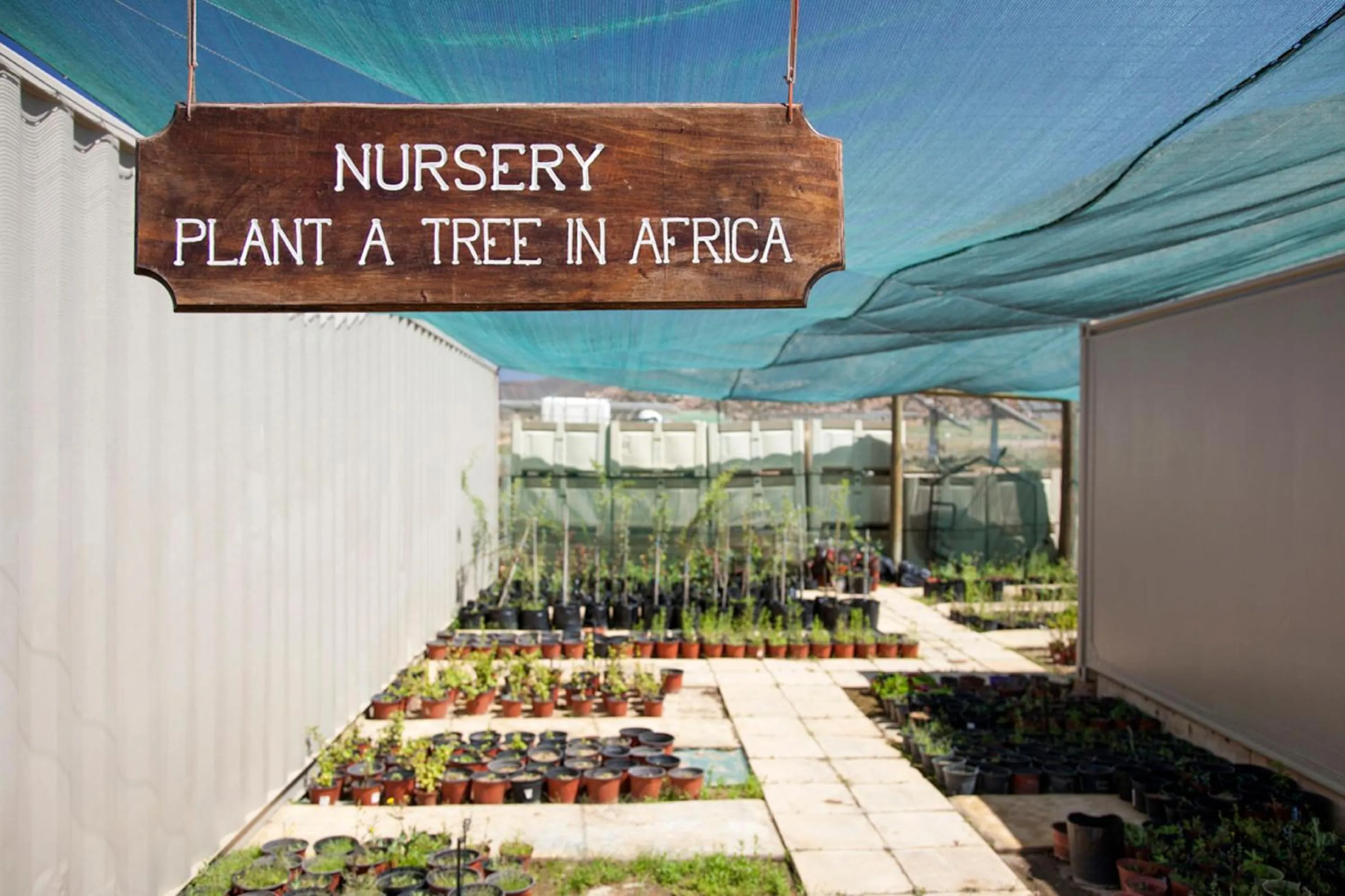 Garden in Aquila Private Game Reserve & Spa