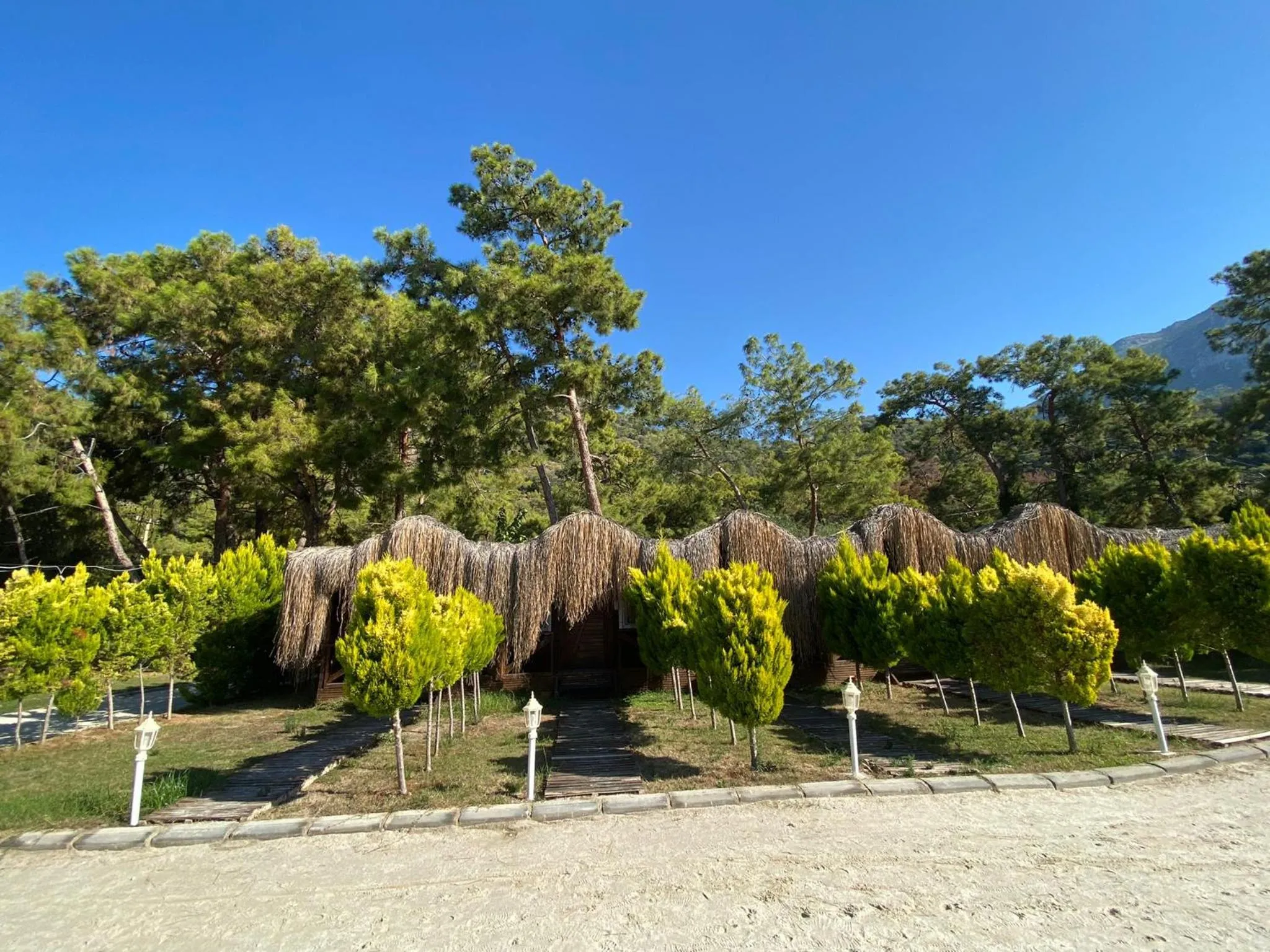 Day in Green Pine Bungalows & Beach Luxury Concept