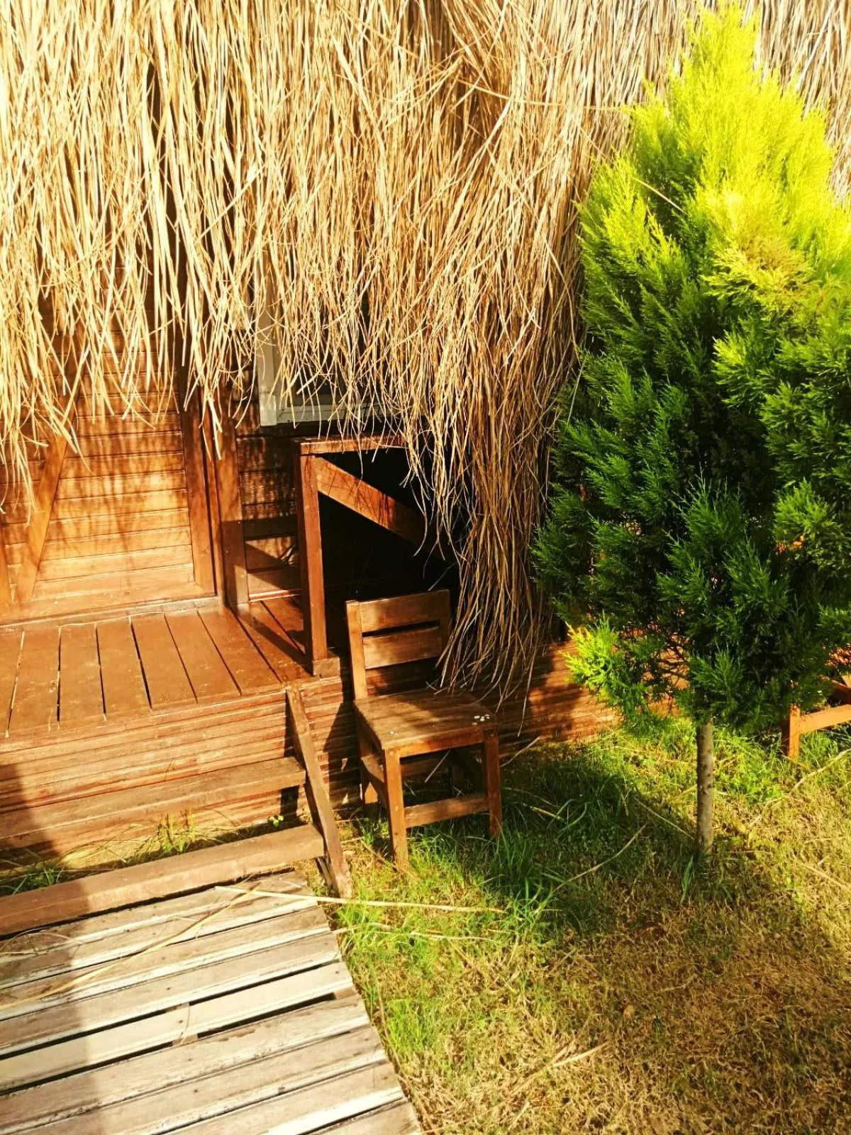 Property building in Green Pine Bungalows & Beach Luxury Concept