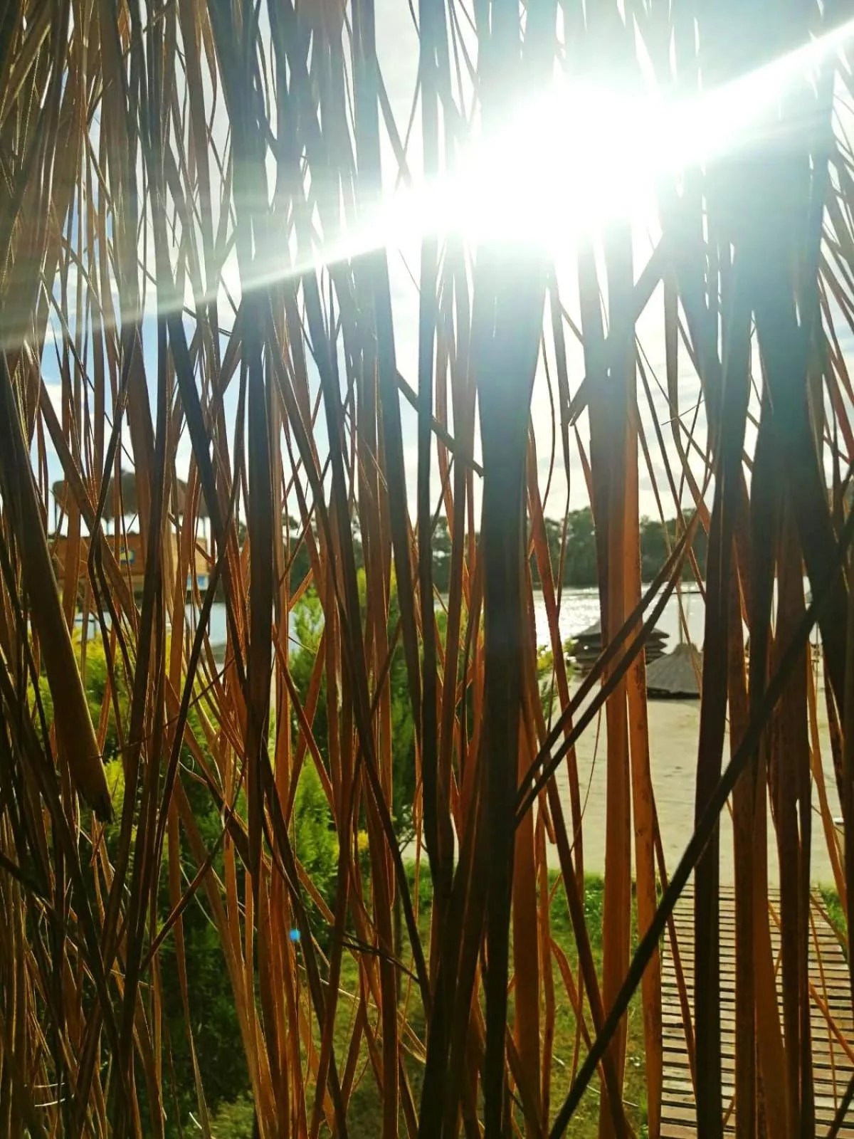 Sea view in Green Pine Bungalows & Beach Luxury Concept