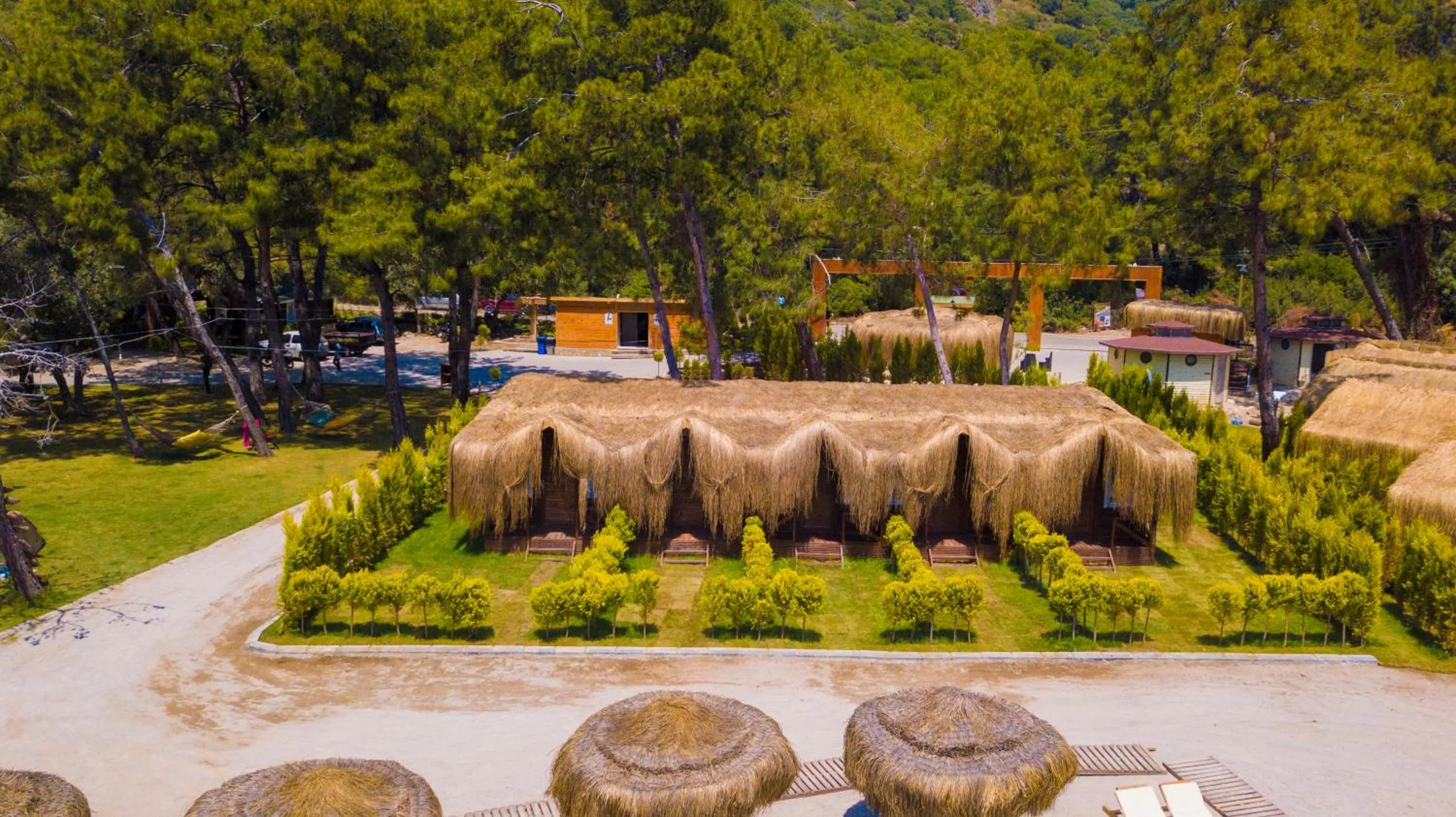 Day in Green Pine Bungalows & Beach Luxury Concept