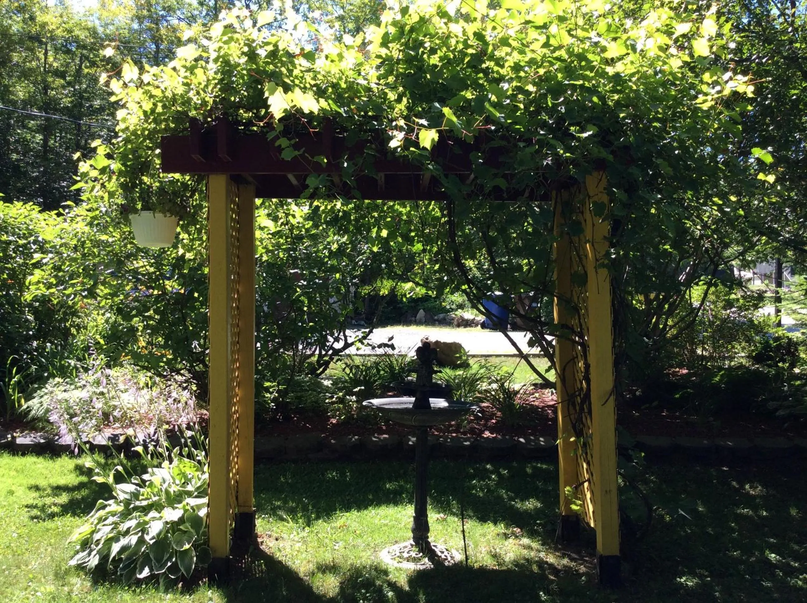 Natural landscape in Chez Lulu et Lutin