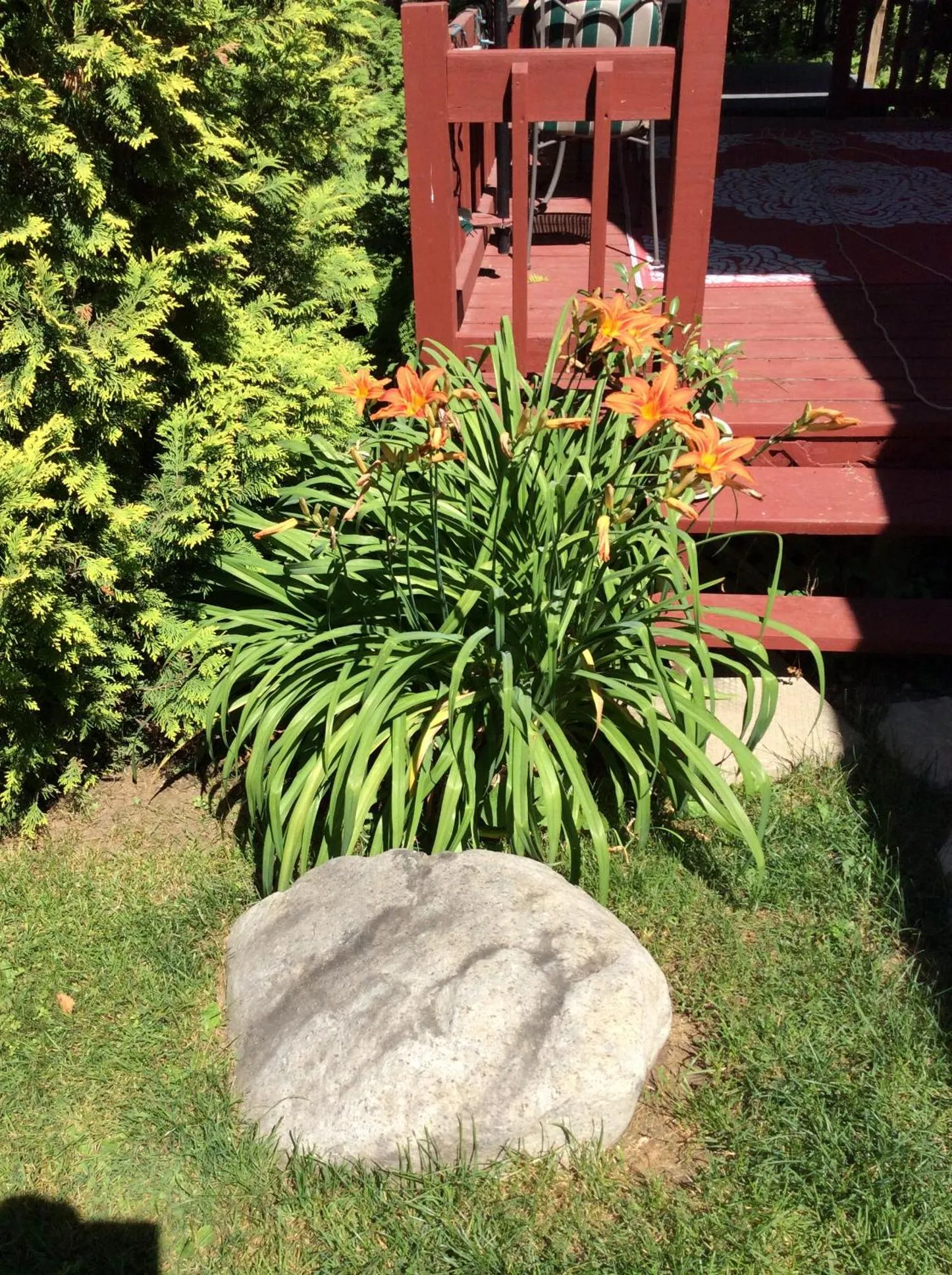 Natural landscape in Chez Lulu et Lutin