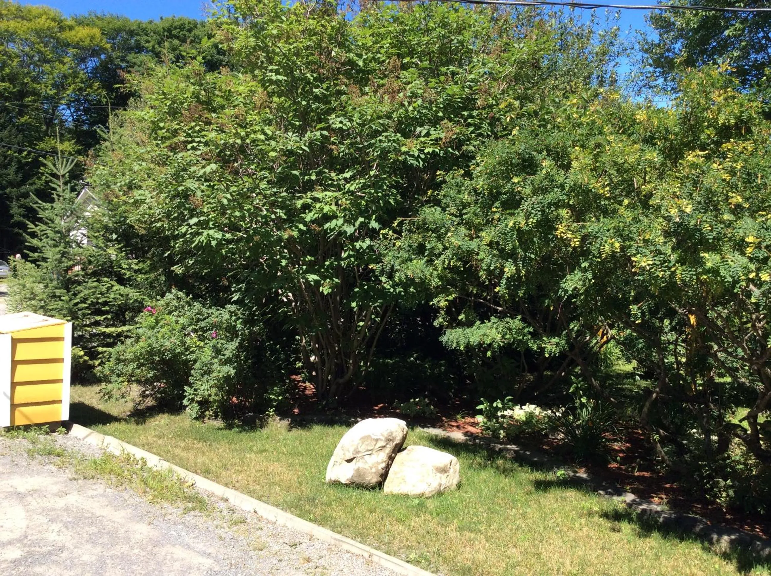 Natural landscape in Chez Lulu et Lutin