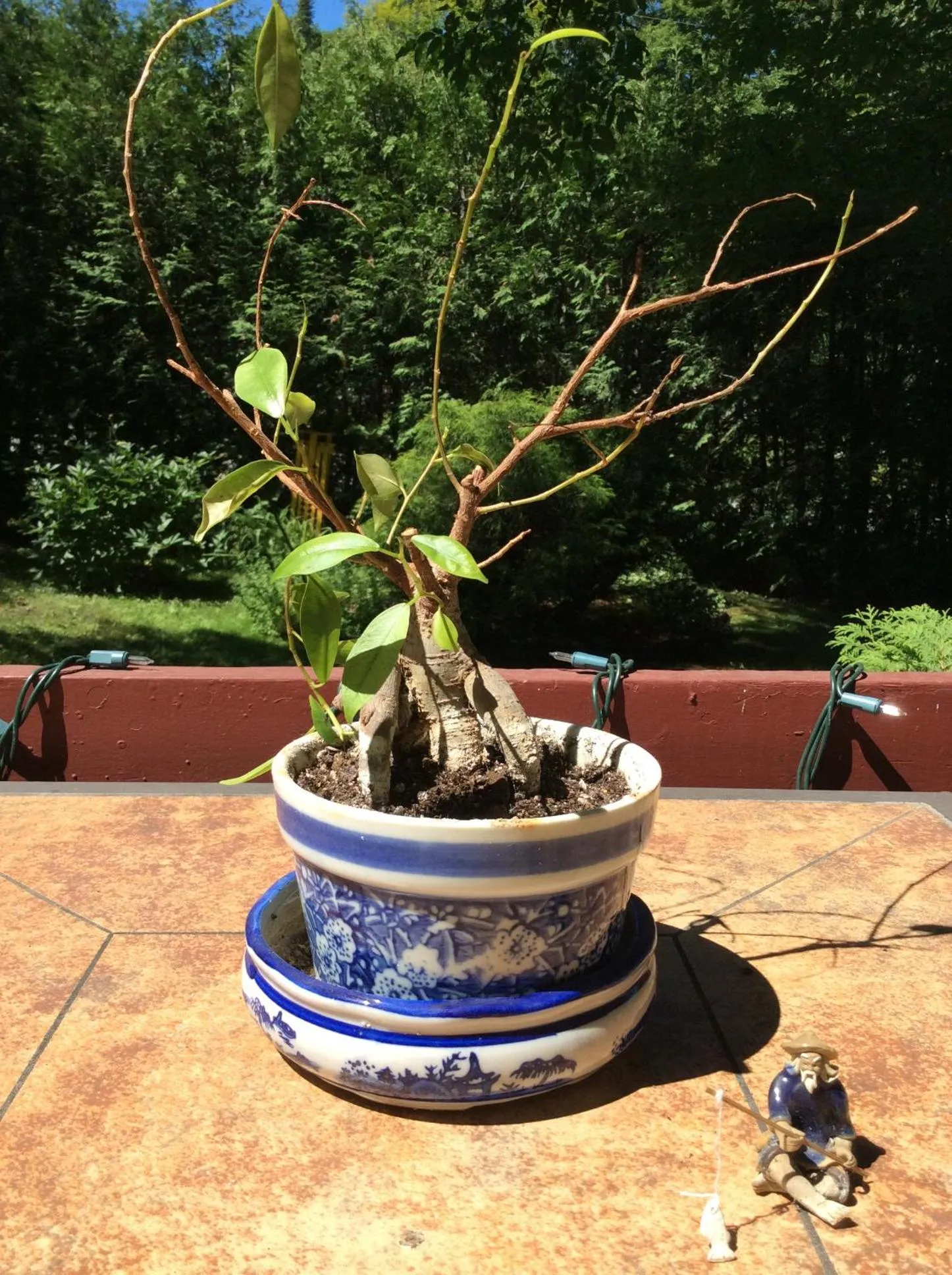 Natural landscape in Chez Lulu et Lutin