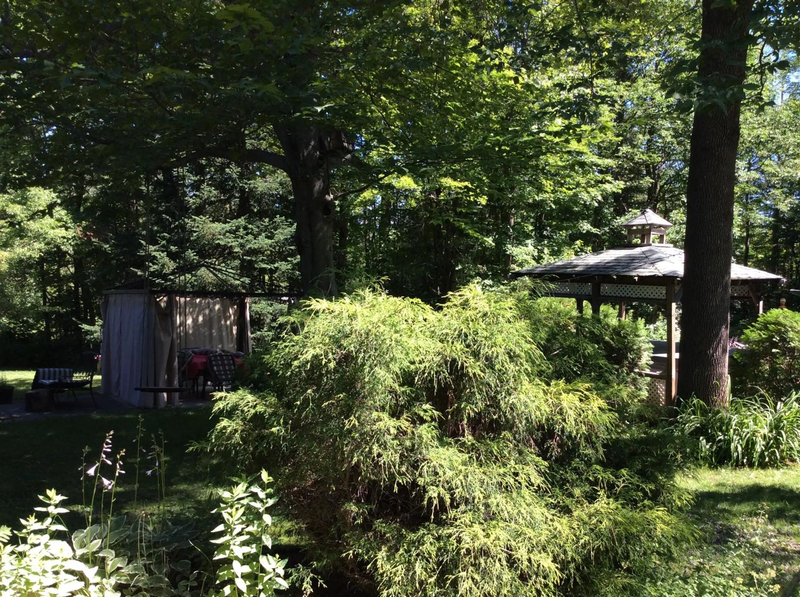 Natural landscape in Chez Lulu et Lutin