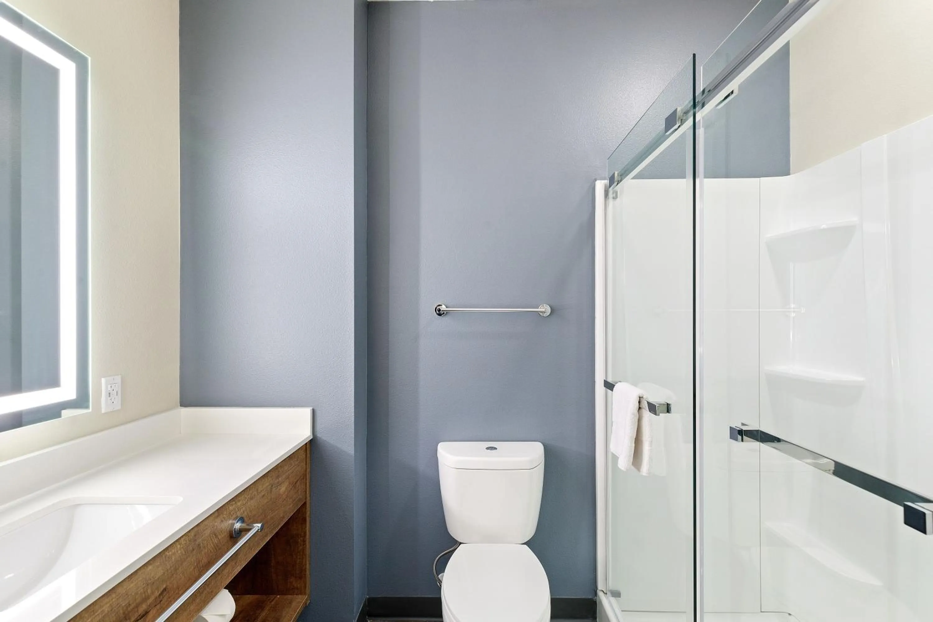 Bathroom in Extended Stay America Premier Suites - Tampa - Fairgrounds - Casino