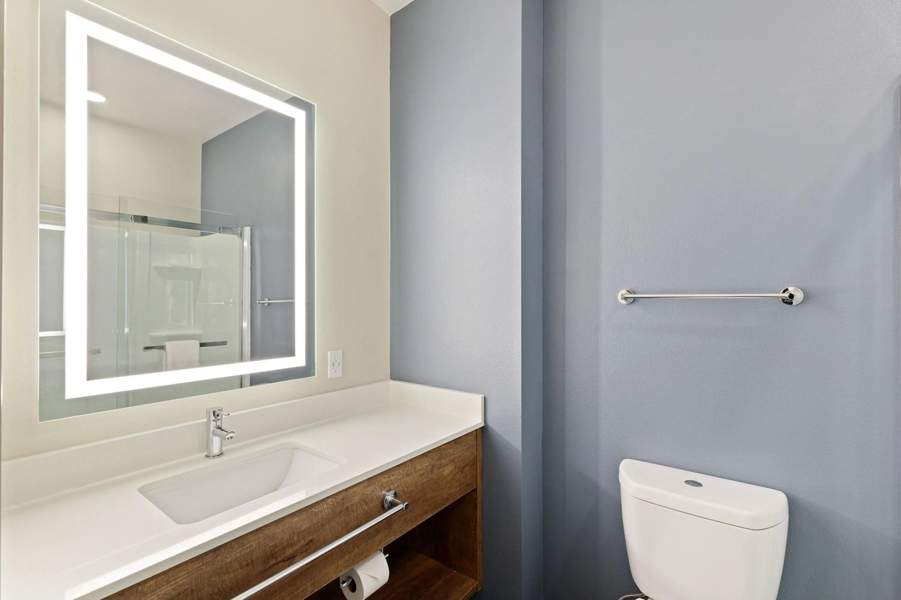 Bathroom in Extended Stay America Premier Suites - Tampa - Fairgrounds - Casino