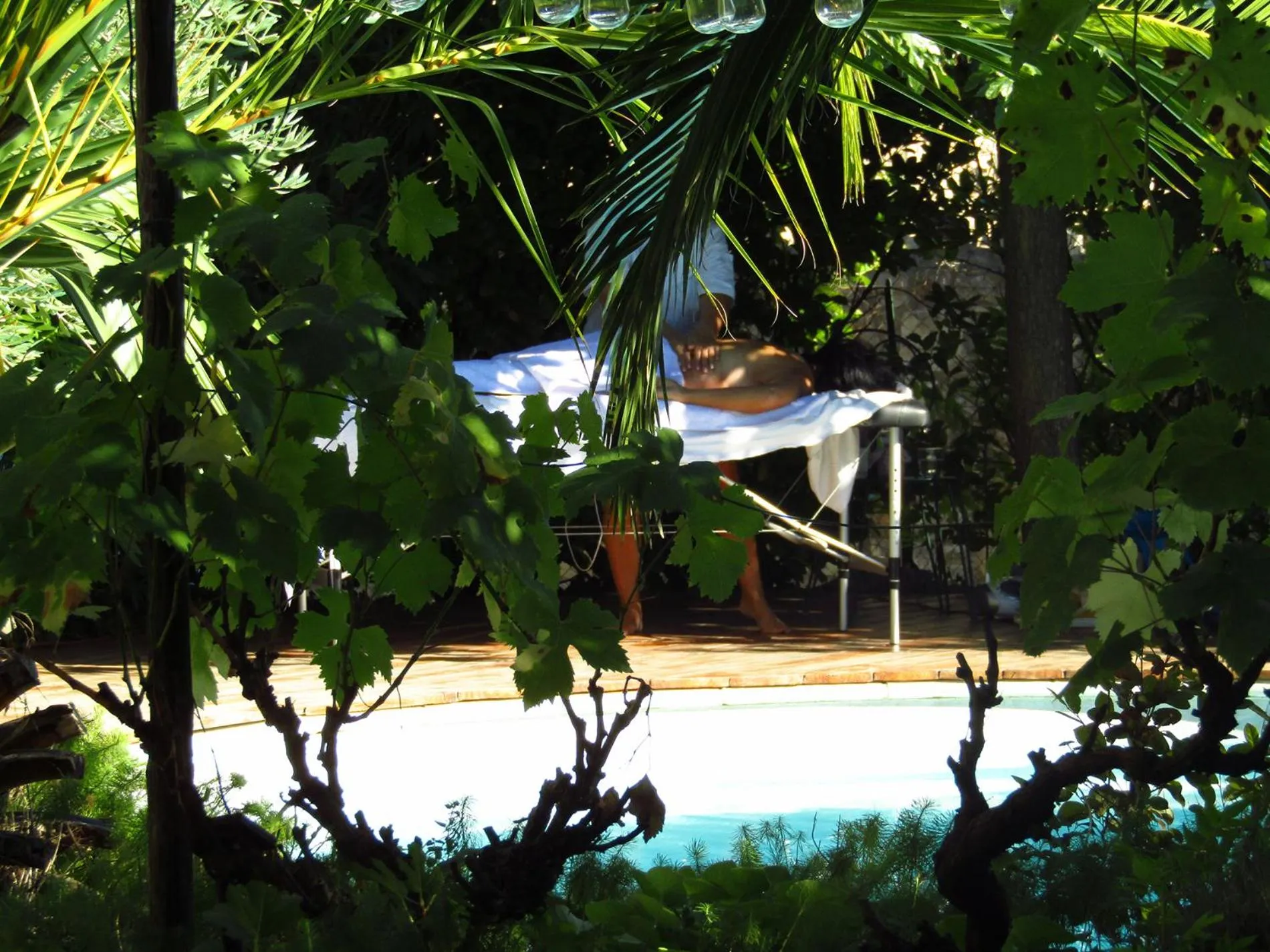 Garden in La Bastide de Canaules