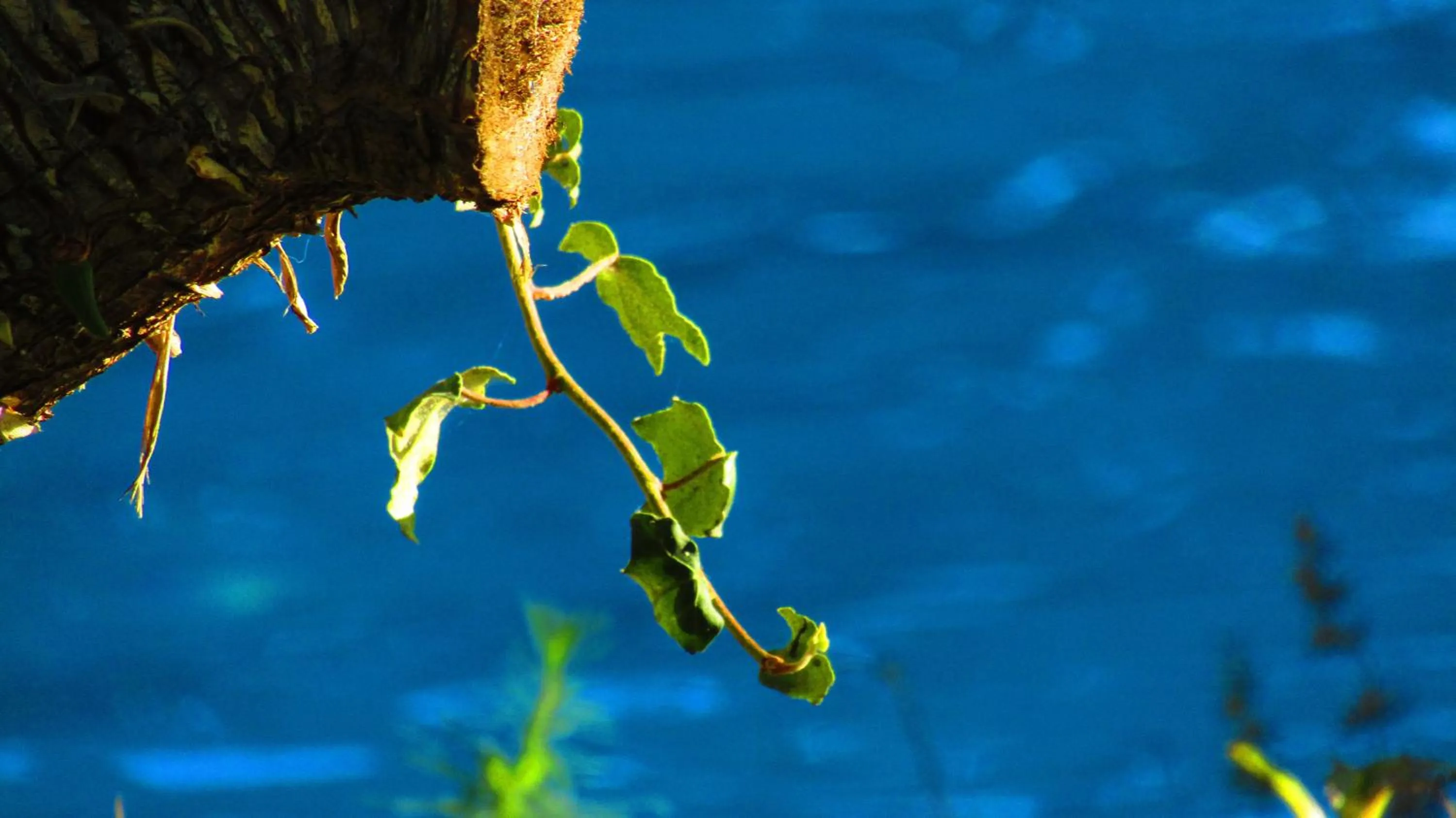 Property building in La Bastide de Canaules