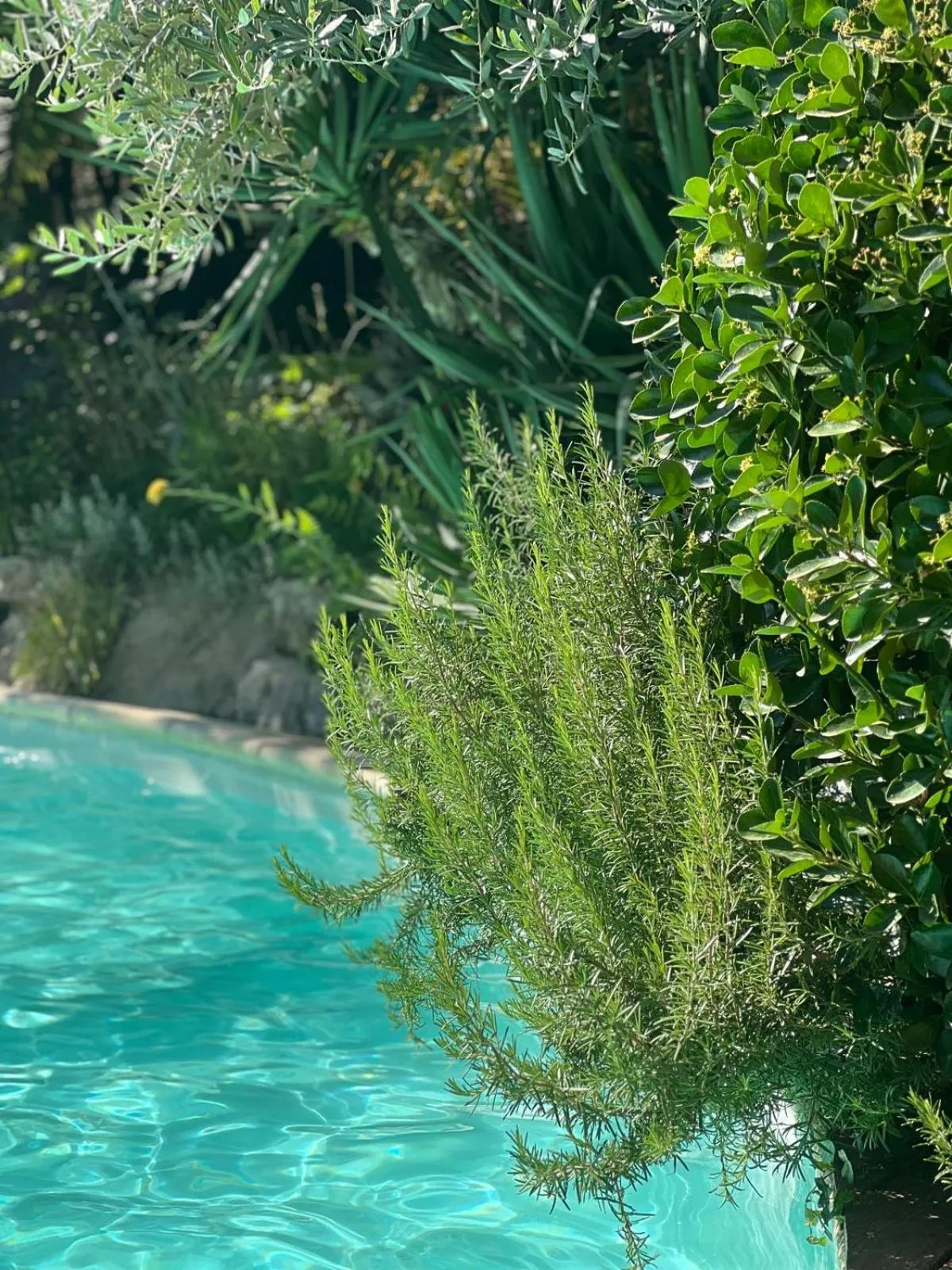 Swimming pool in La Bastide de Canaules