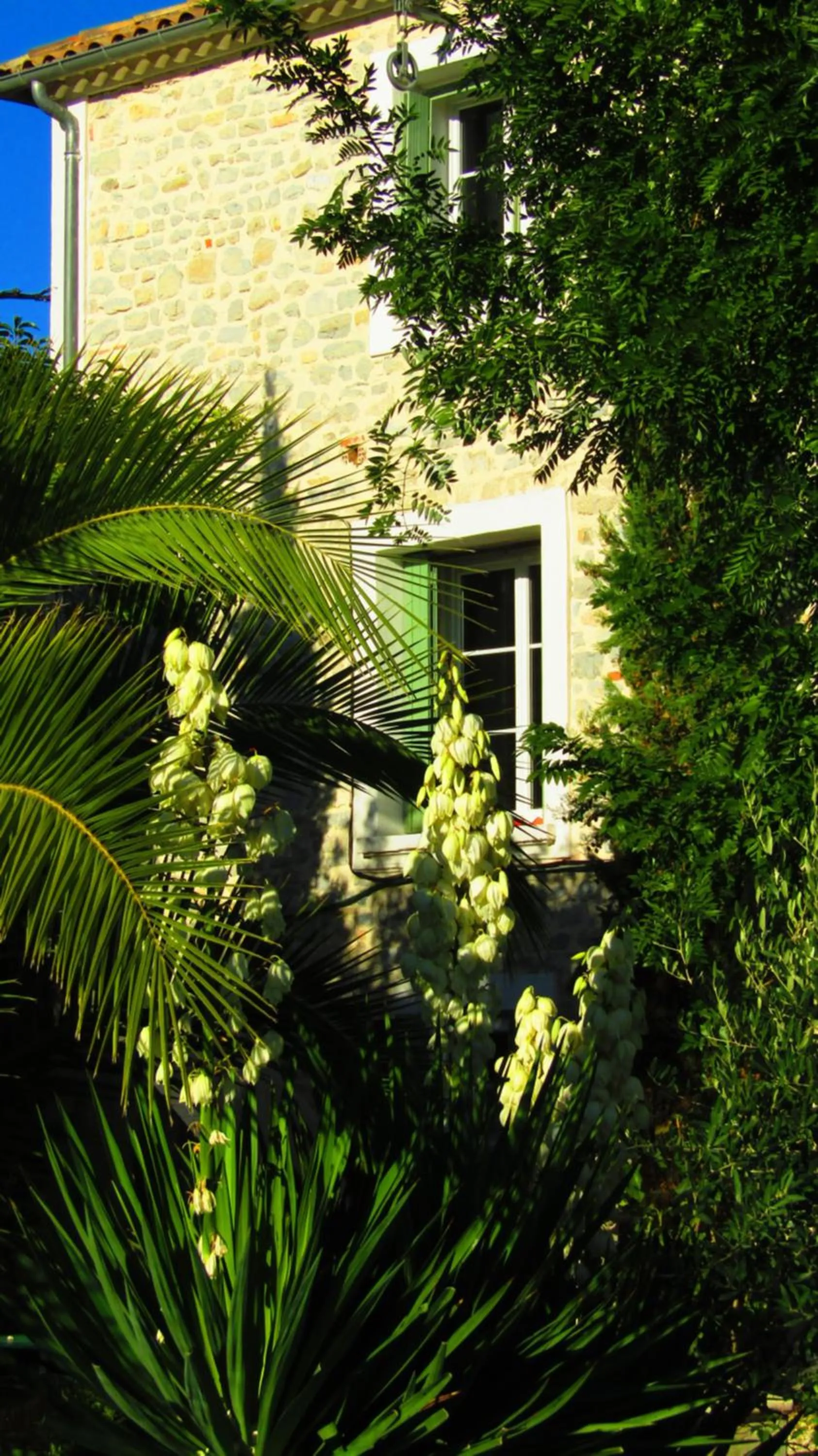 Property building in La Bastide de Canaules