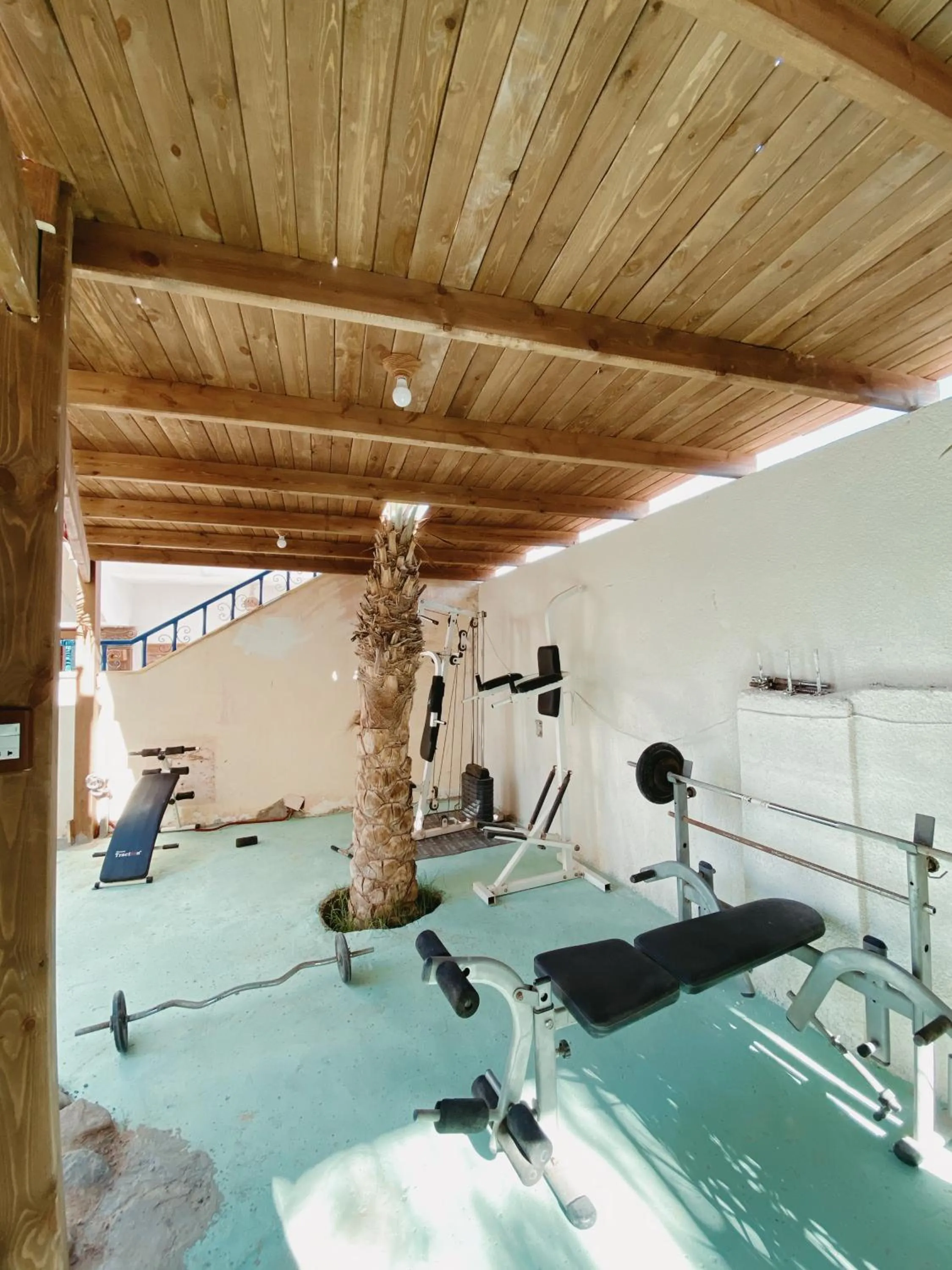 Activities in Neptune Residence