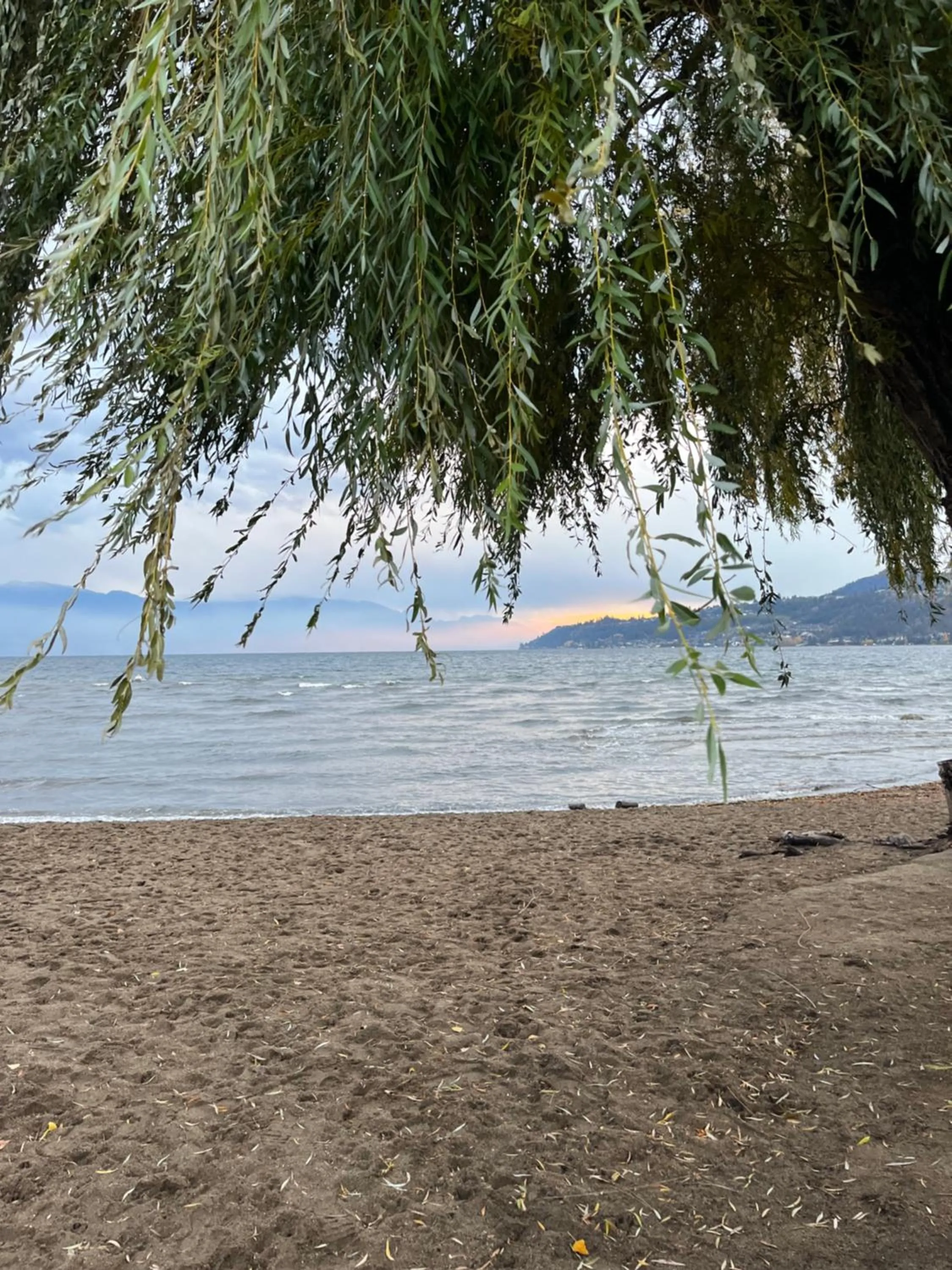 Beach in Stirling House