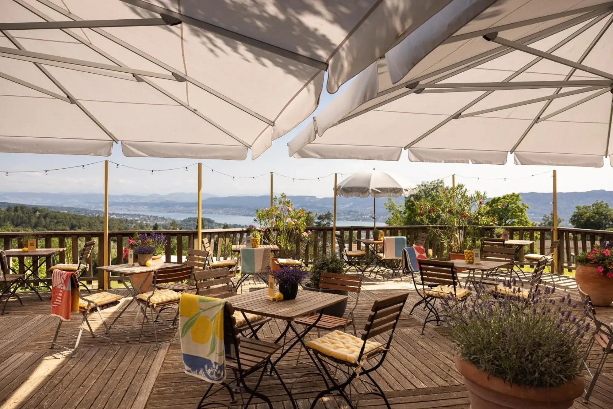 Restaurant/places to eat in Sorell Hotel Zürichberg Restaurant/places to eat in Sorell Hotel Zürichberg