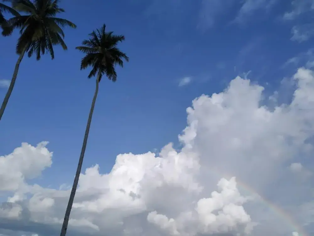 Property building in Rafflesia Resort Property building in Rafflesia Resort