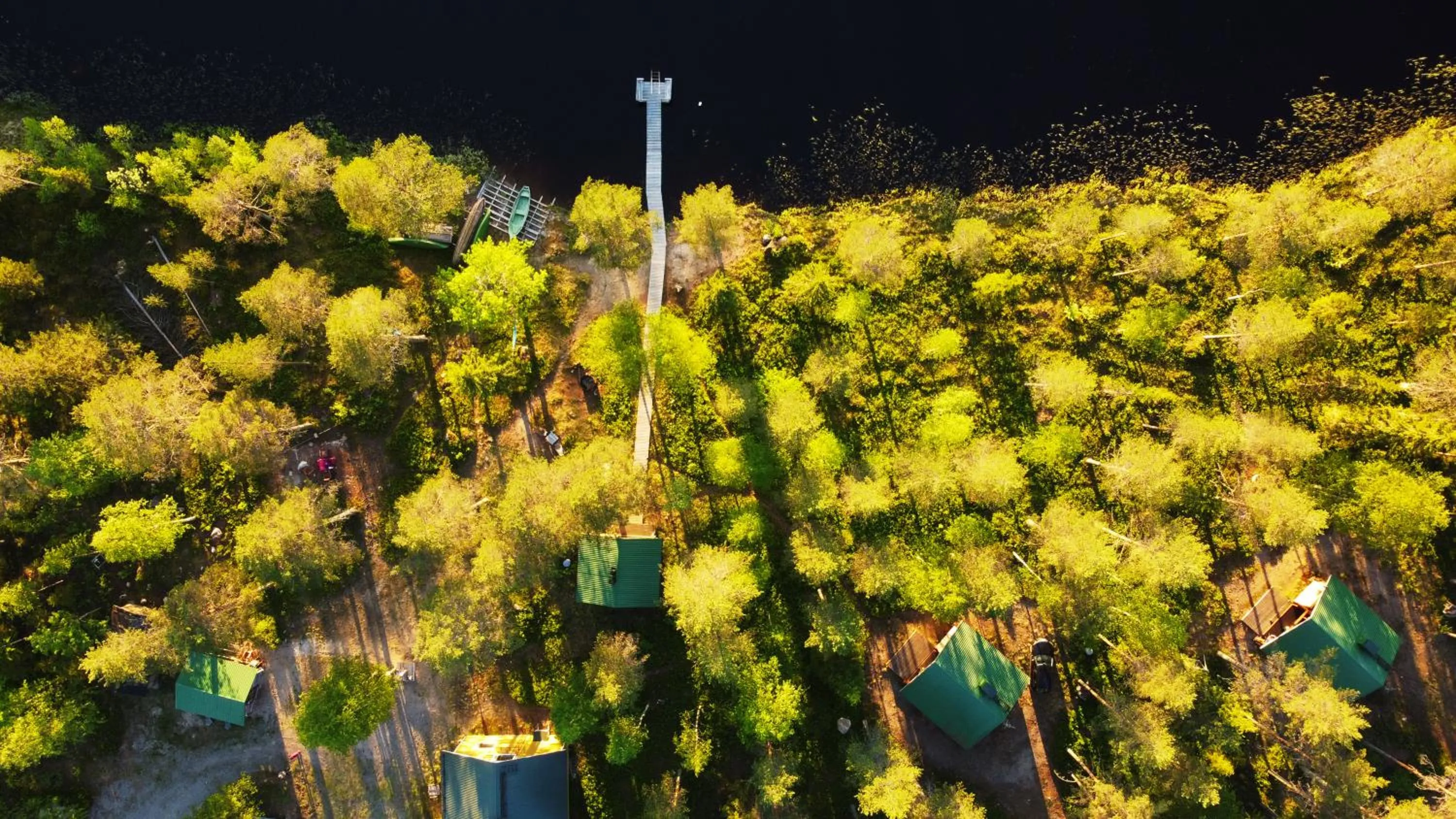 Natural landscape in Metsä Kolo