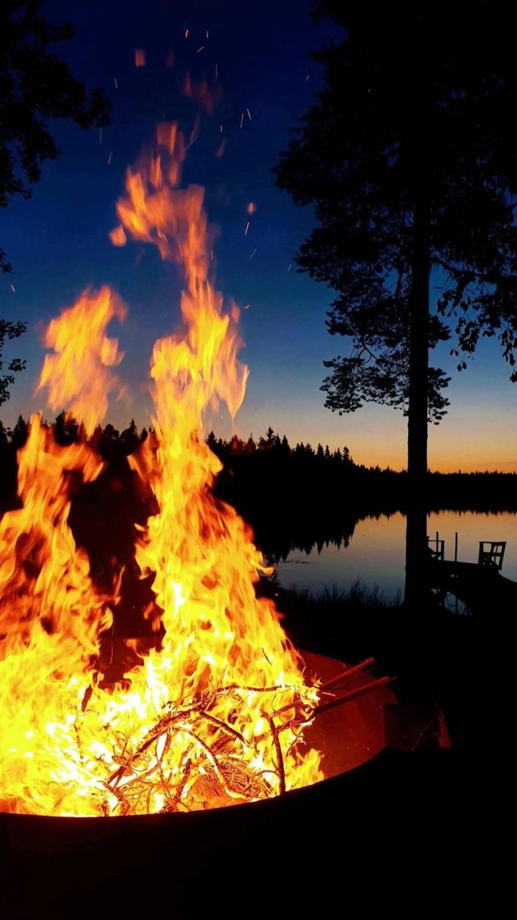 Lake view in Metsä Kolo