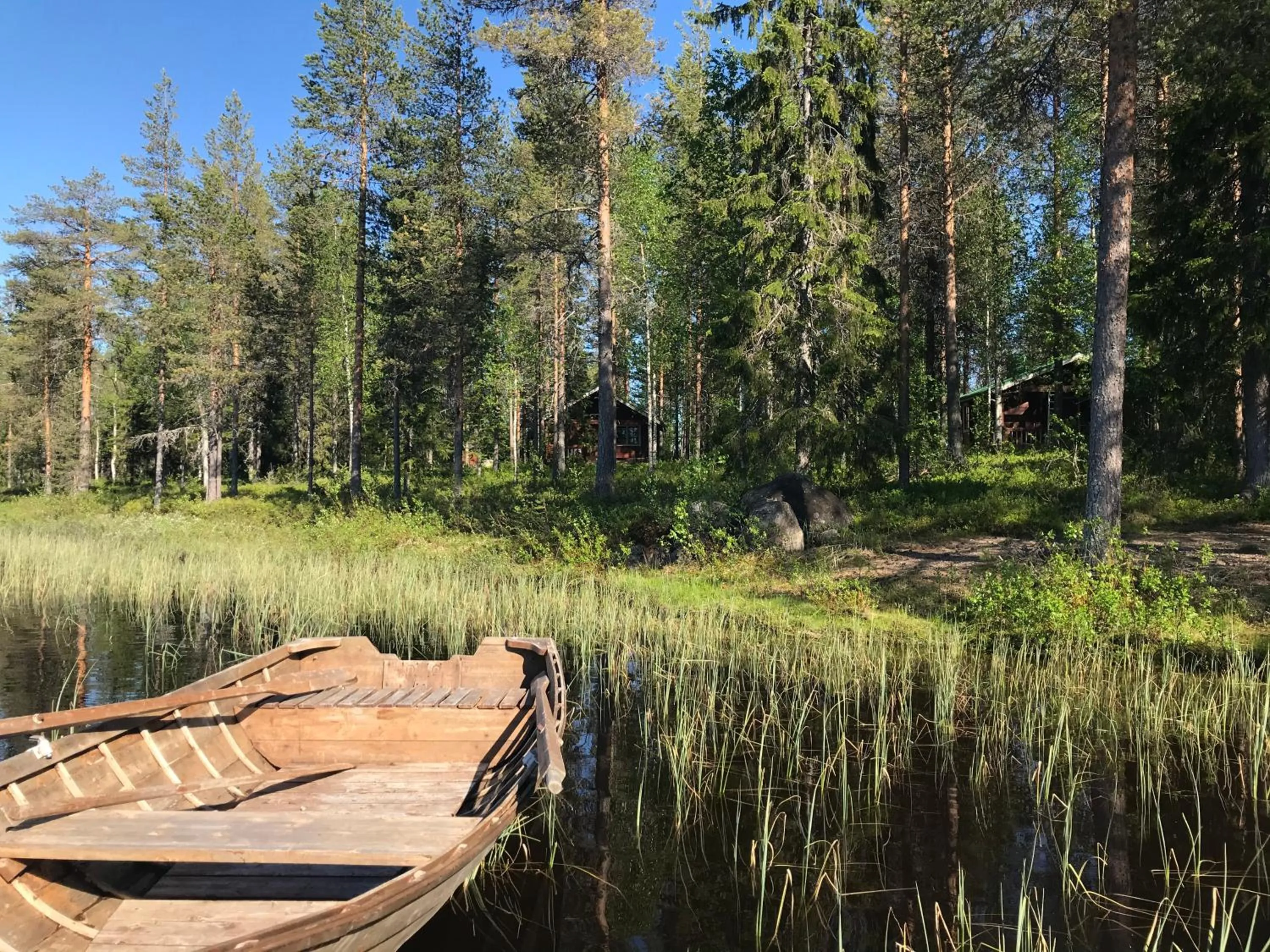 Natural landscape in Metsä Kolo