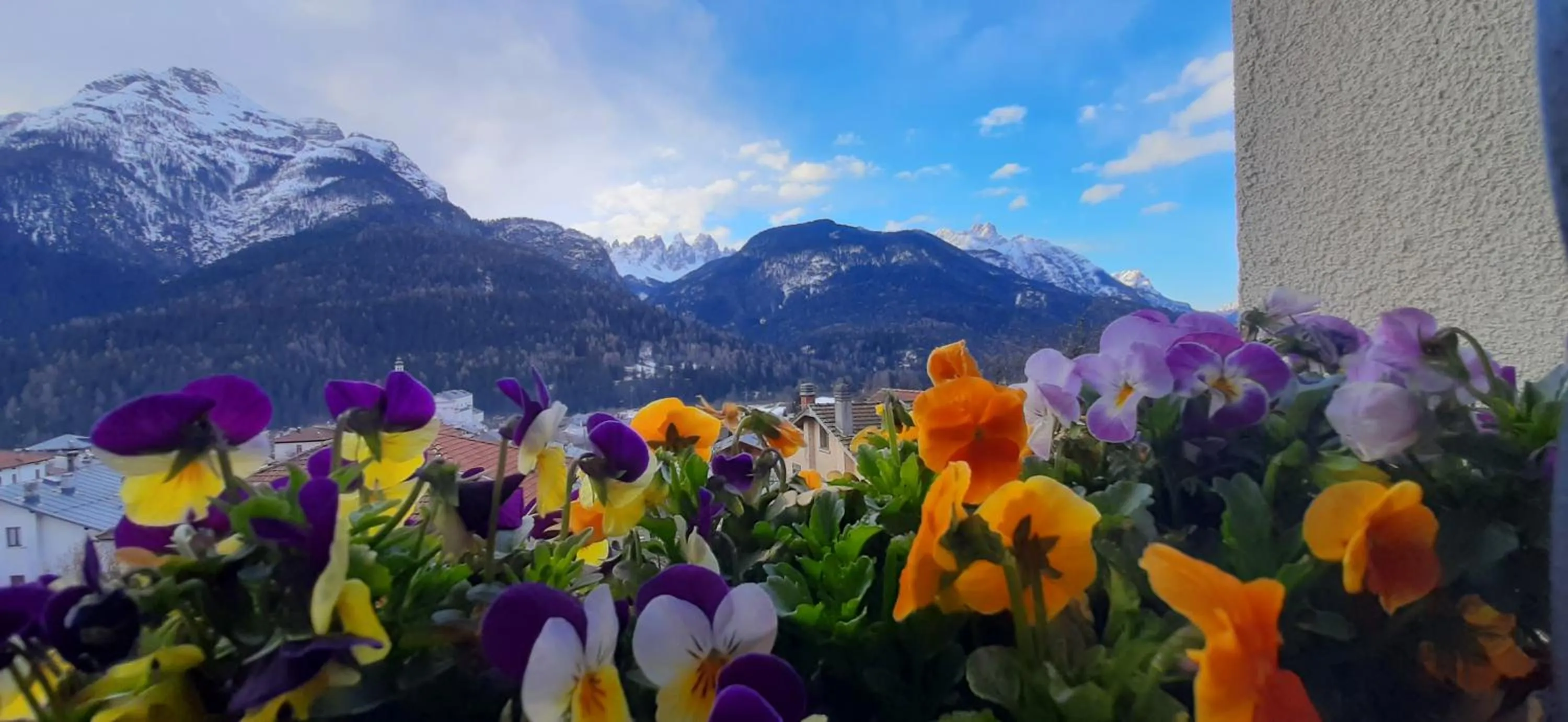 Property building in B&B SognoInCadore