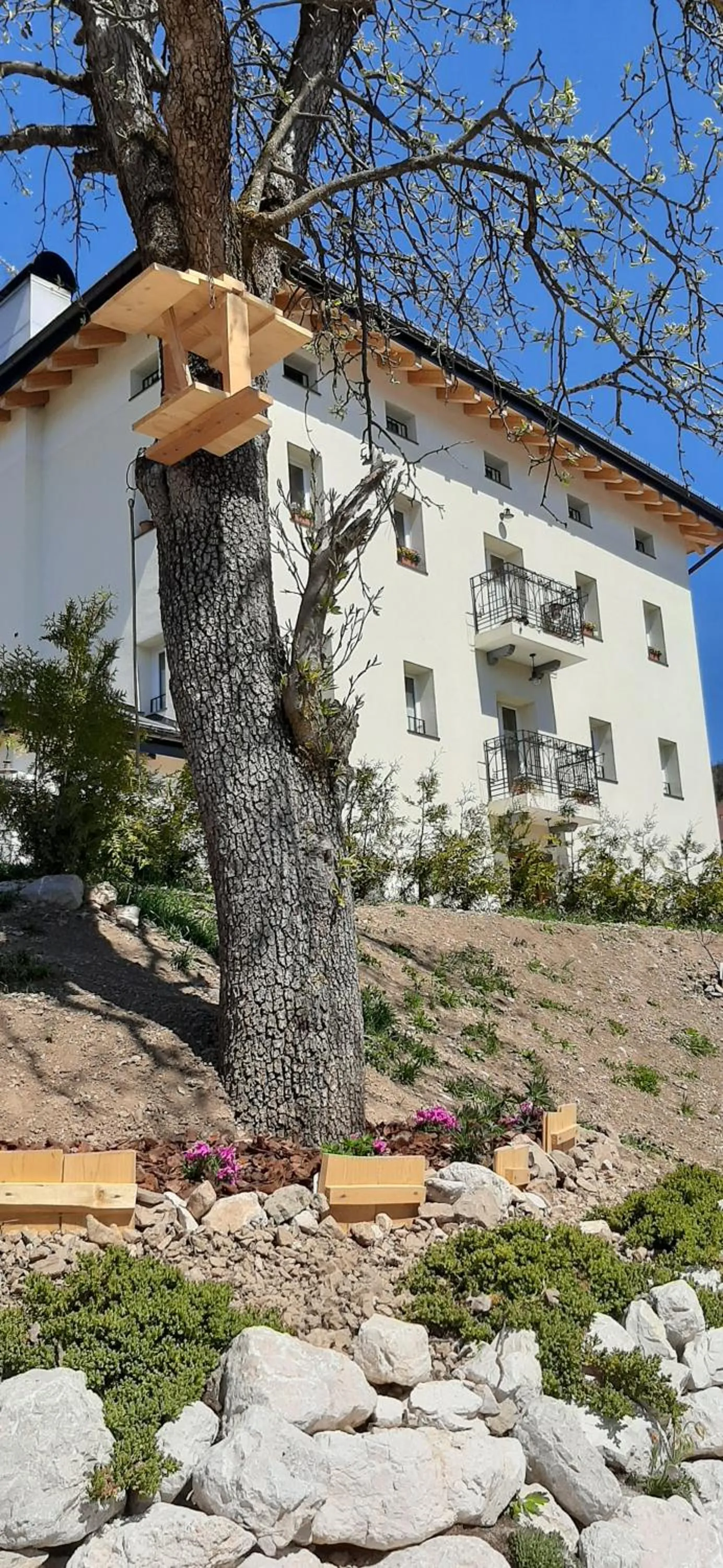 Property building in B&B SognoInCadore