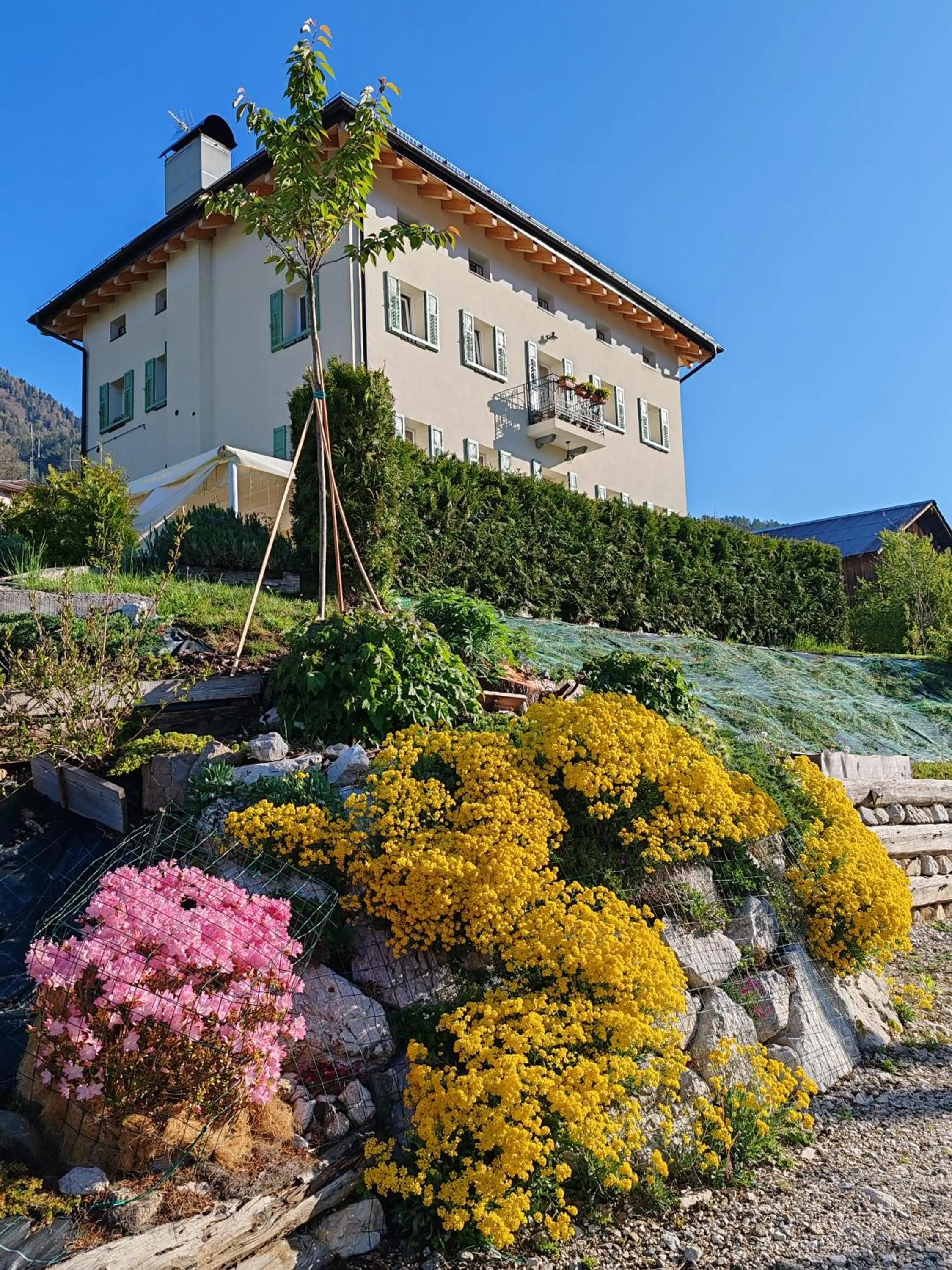 Property building in B&B SognoInCadore