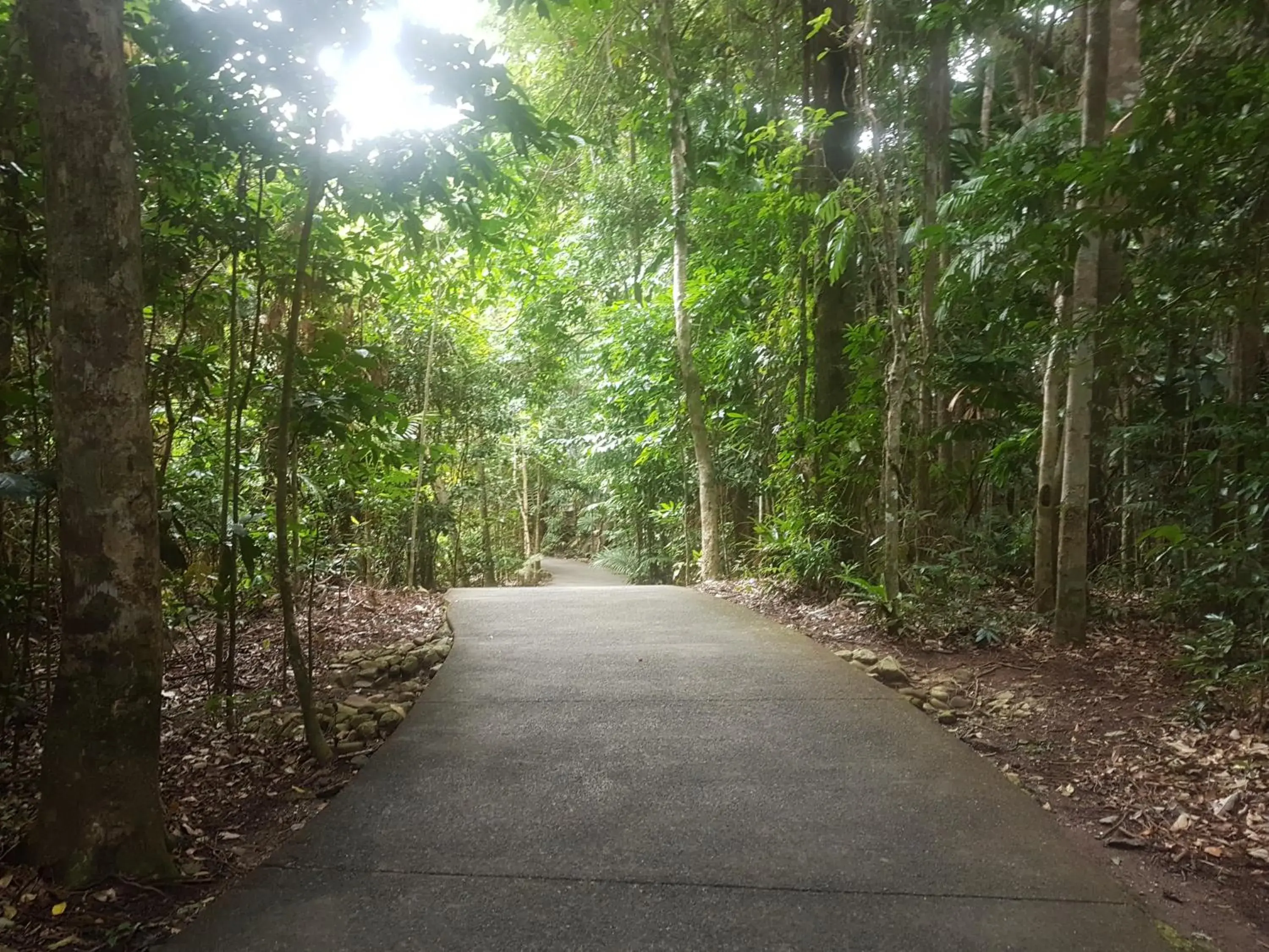Property building in Cape Trib Beach House Property building in Cape Trib Beach House