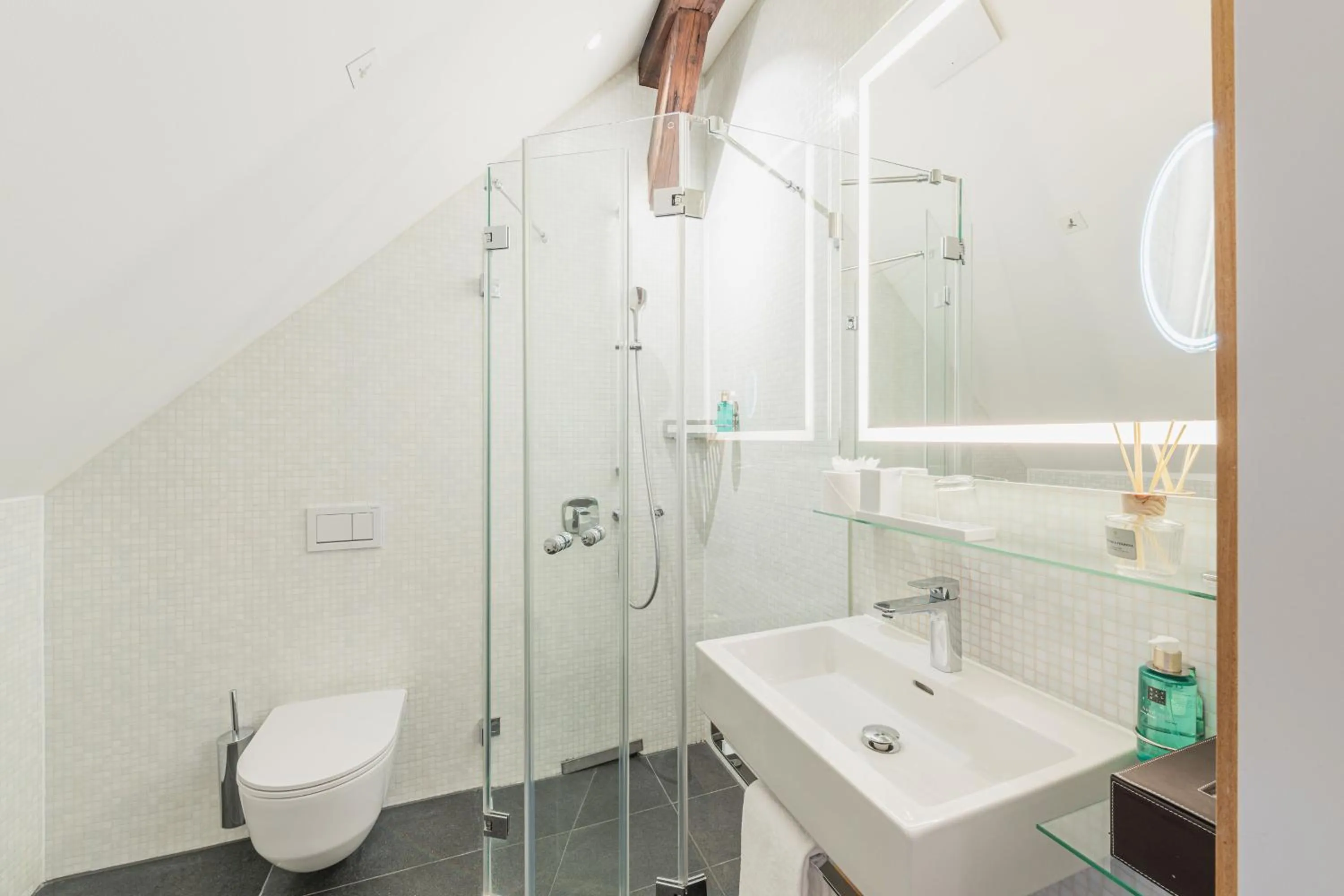 Shower in Tailormade Hotel RÜDEN Schaffhausen