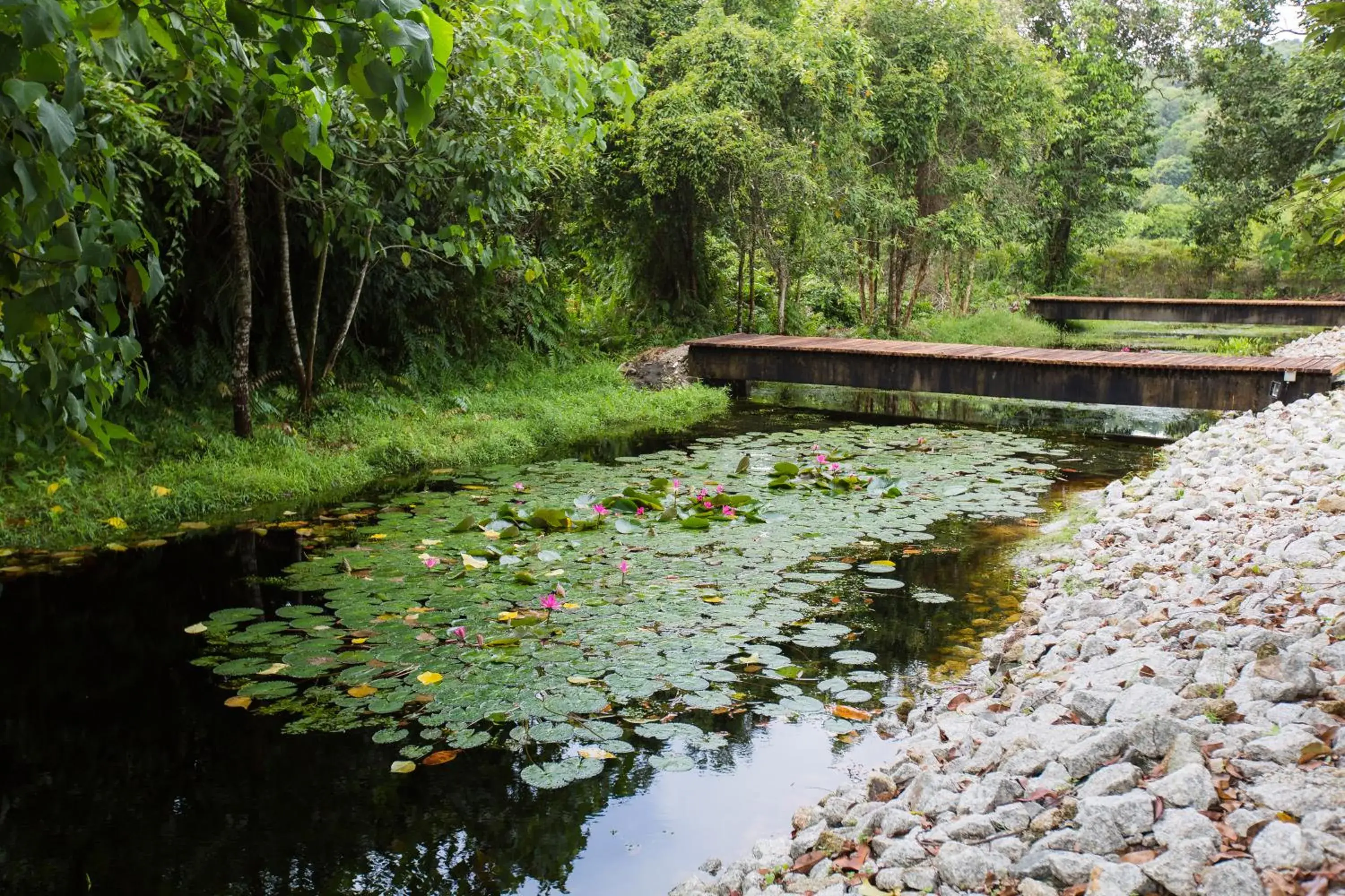 Property building in La Pari-Pari Property building in La Pari-Pari