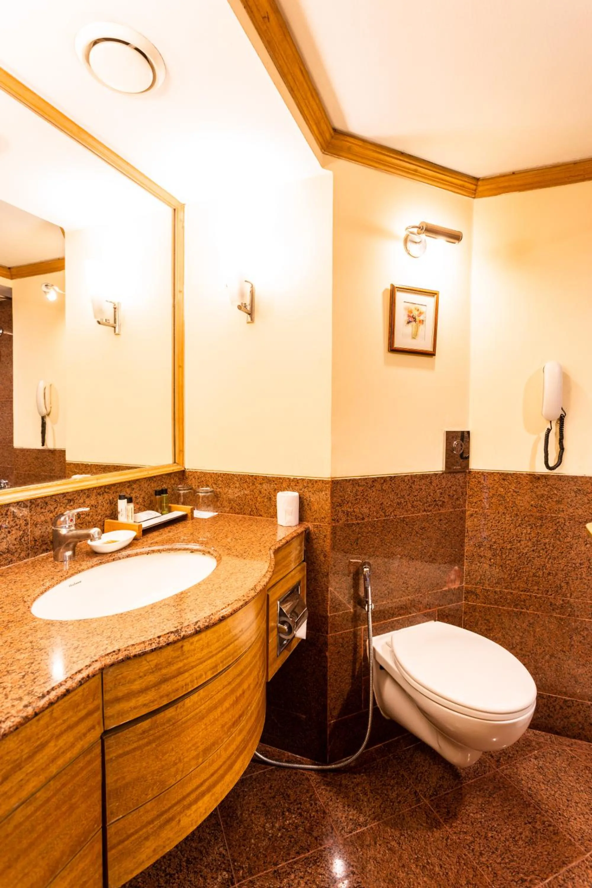 Toilet in The Maya Hotel