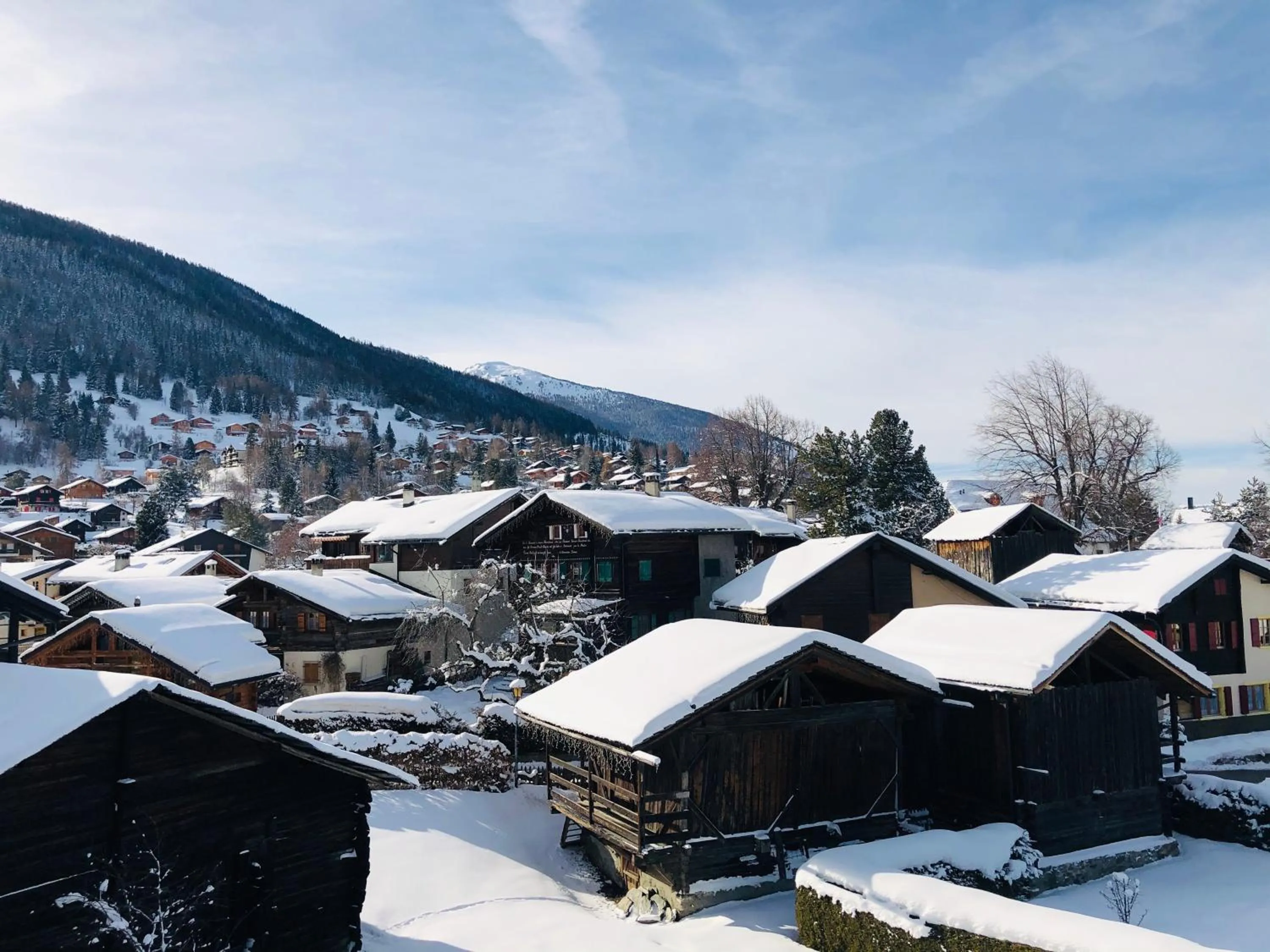 Neighbourhood in Victoria Retreat