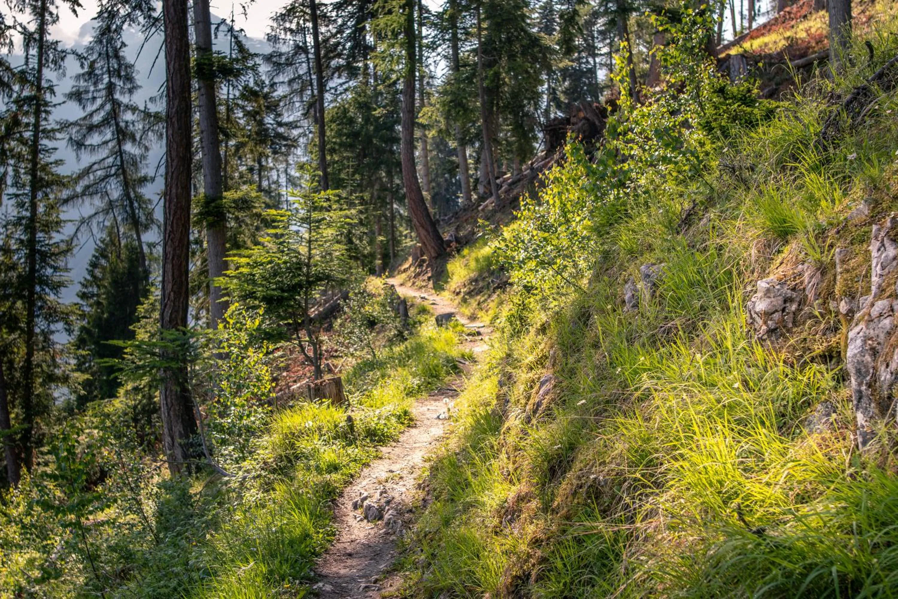 Natural landscape in Victoria Retreat