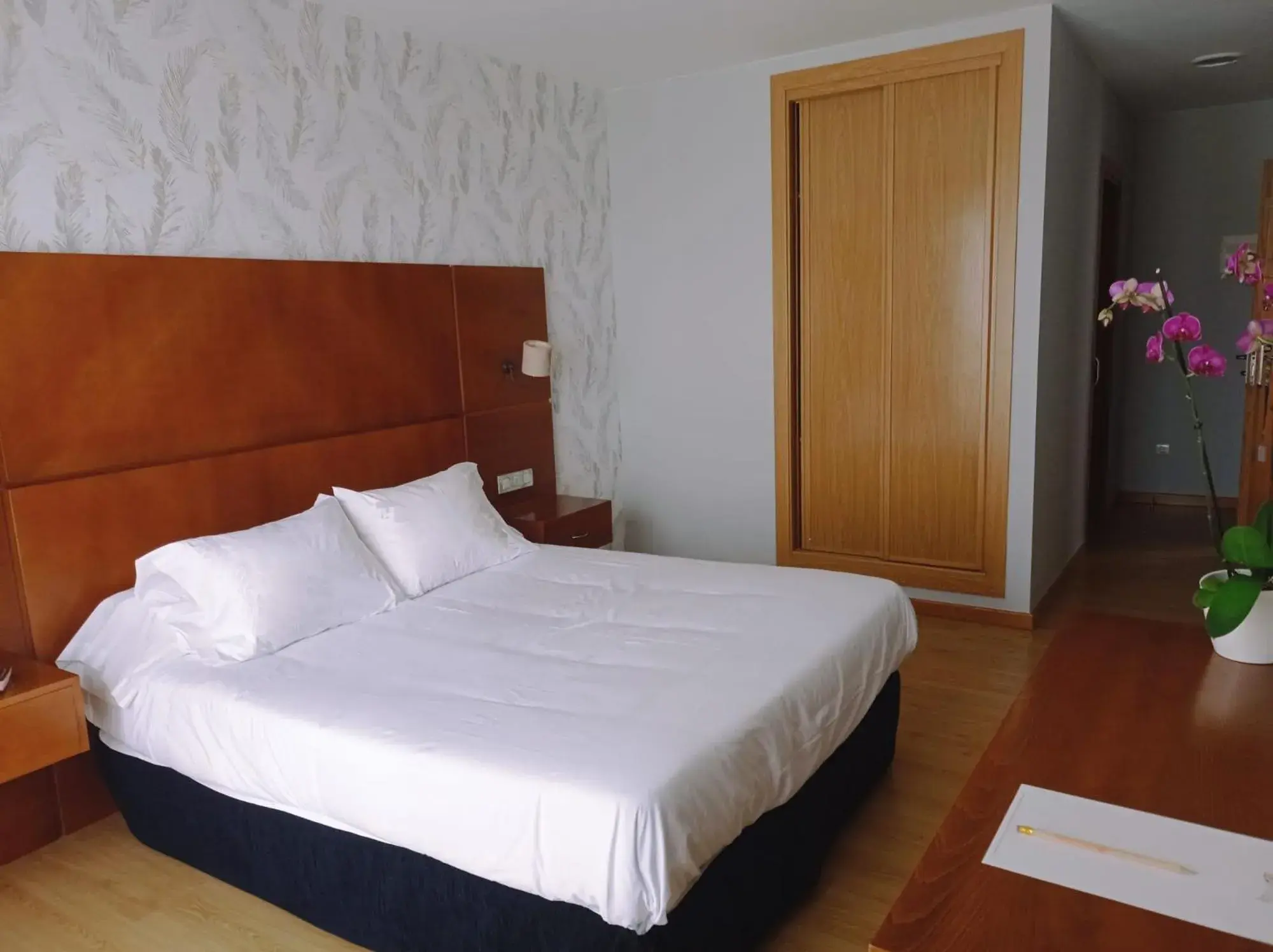 Standard Double Room - single occupancy in Hotel A Raiña Standard Double Room - single occupancy in Hotel A Raiña
