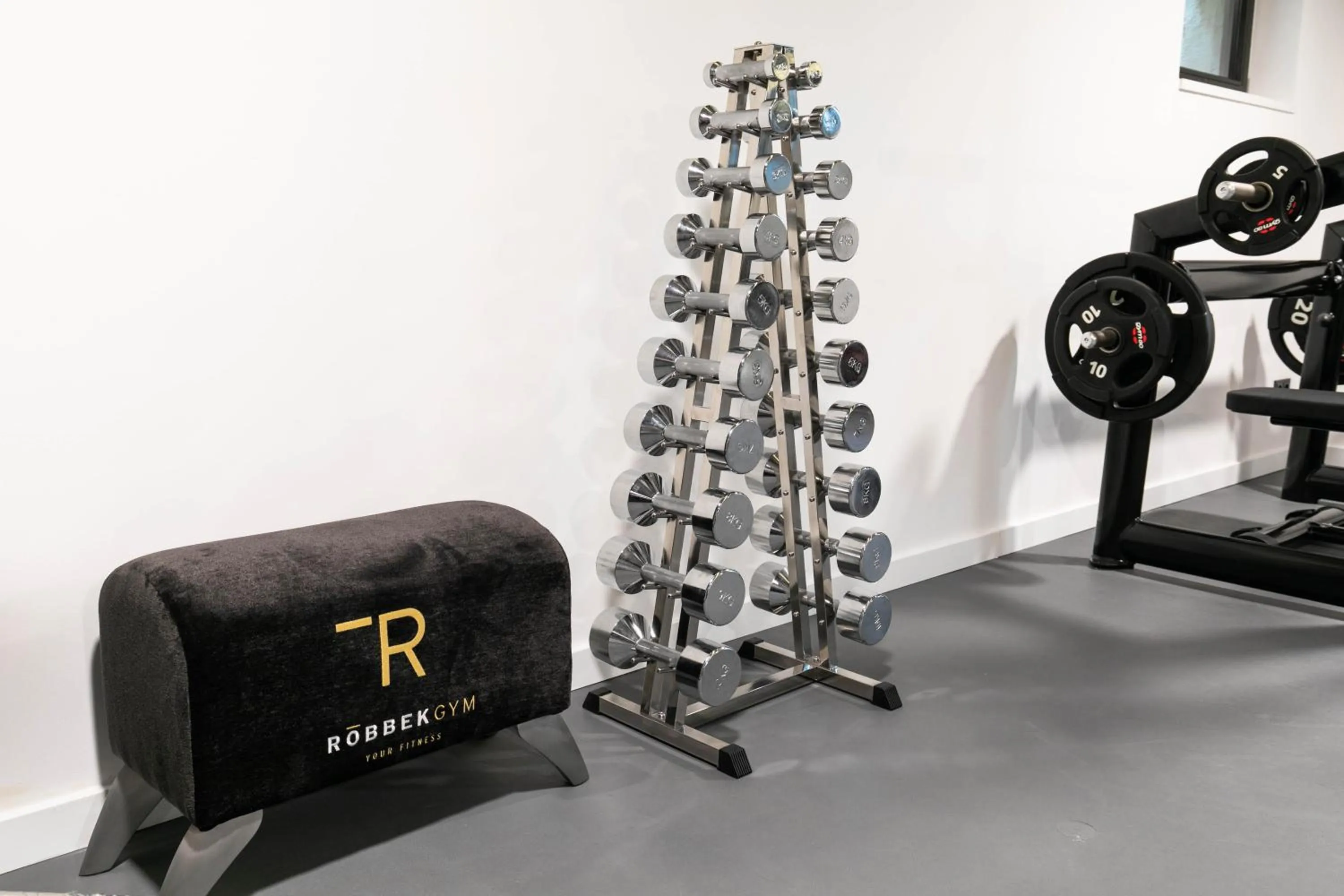 Fitness centre/facilities in The Roebbek x Hanse