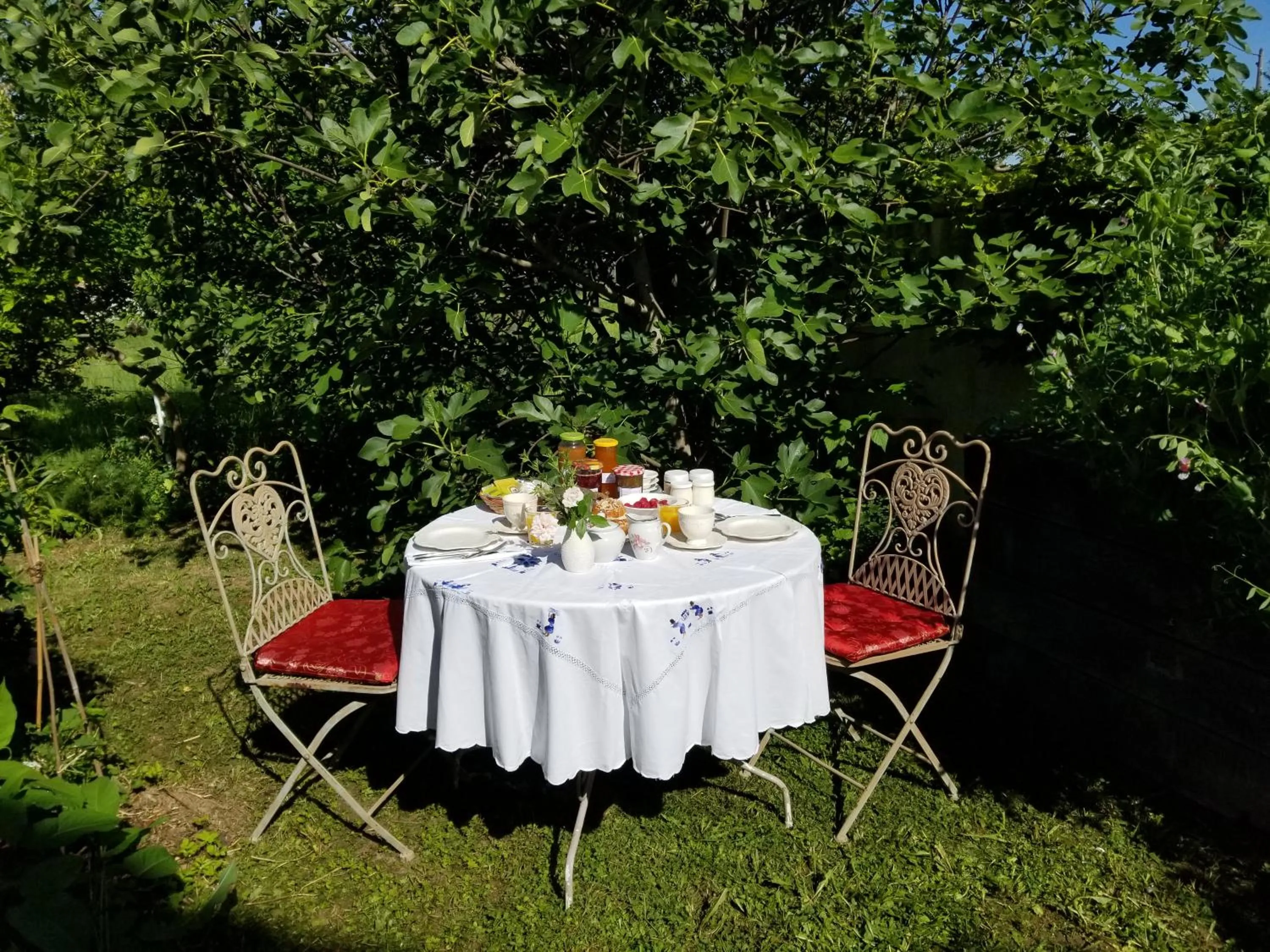 Breakfast in chambre d'hôtes de charme, un temps en forêt