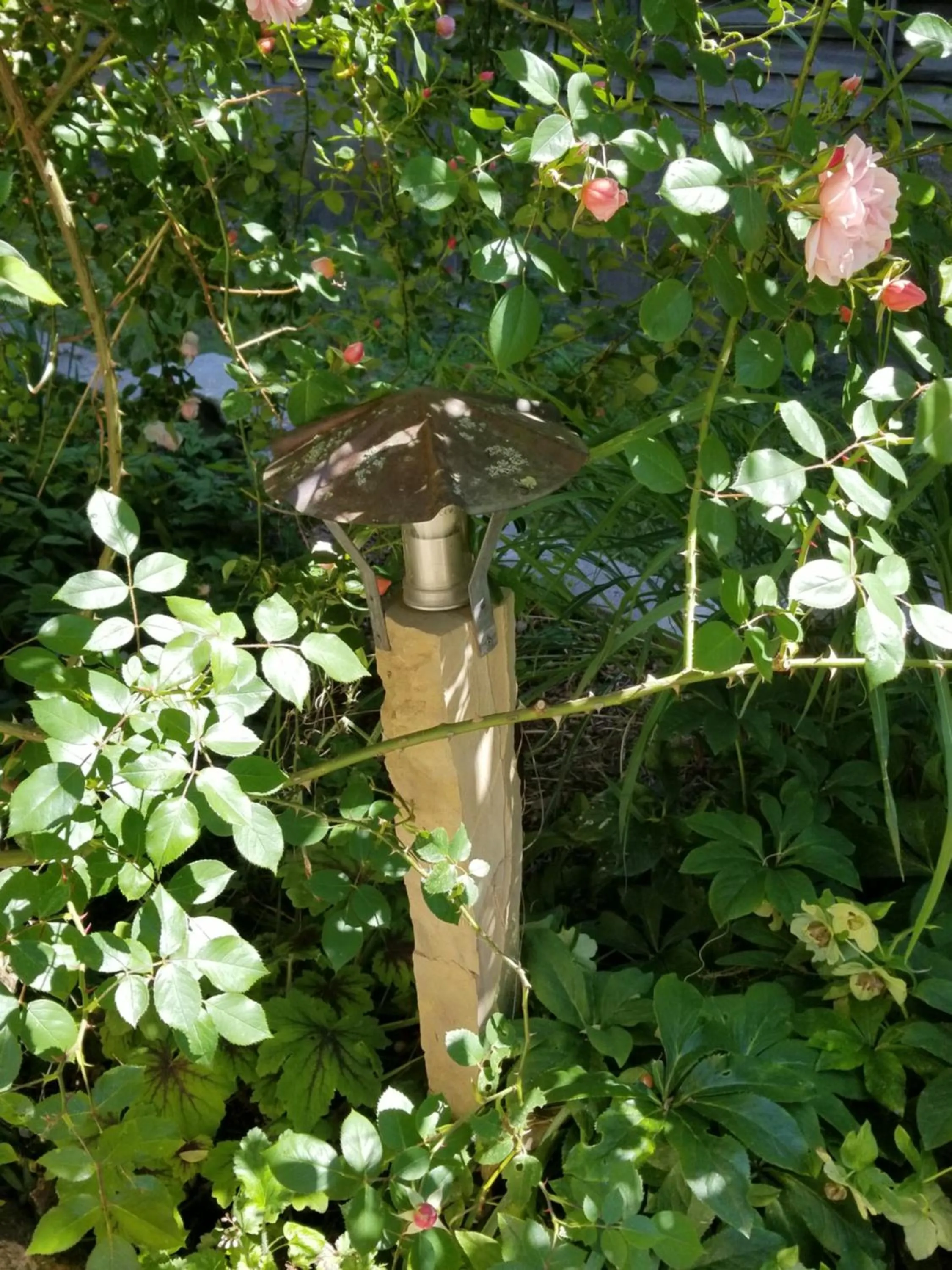 Garden in chambre d'hôtes de charme, un temps en forêt