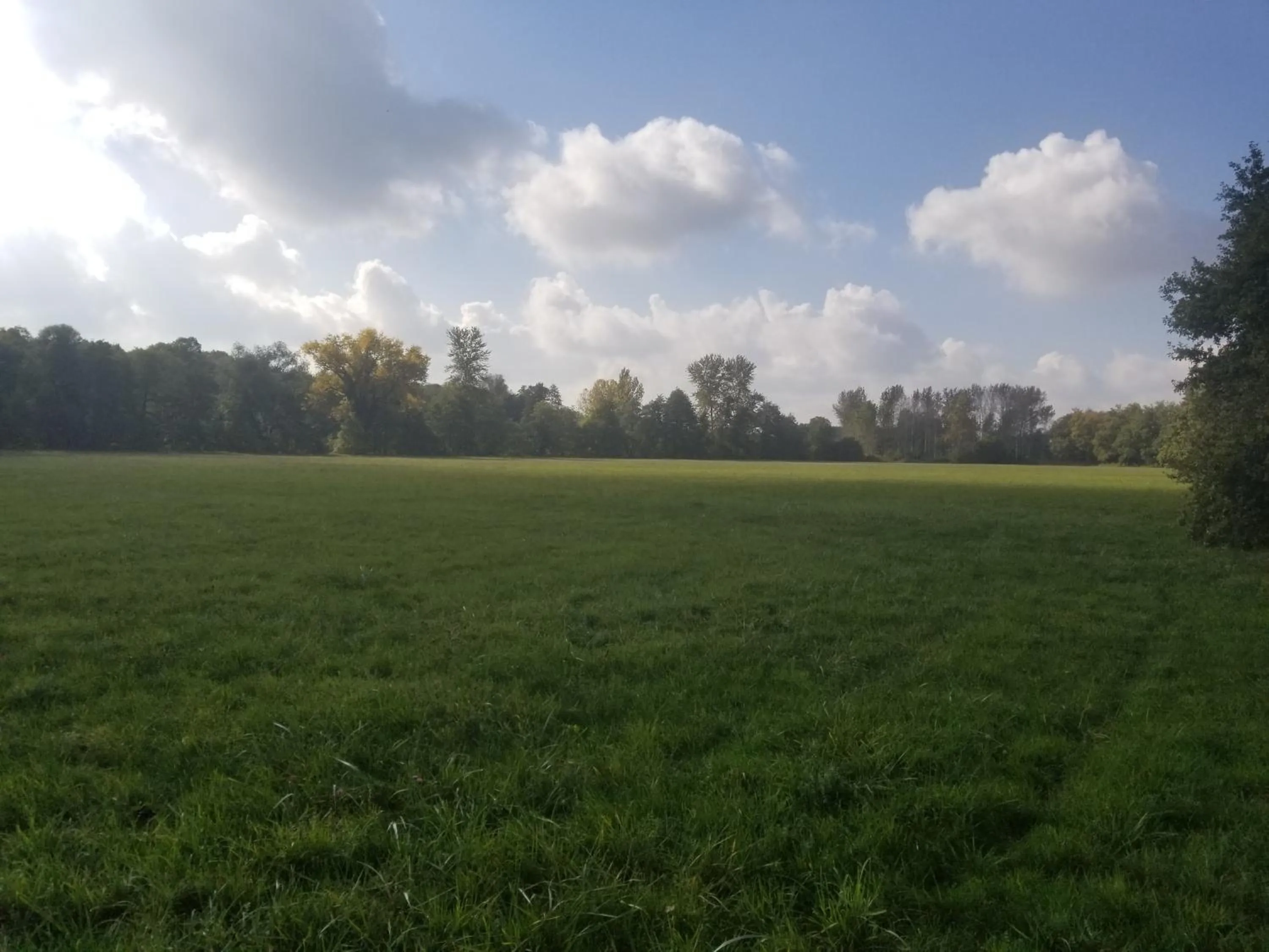 Natural landscape in chambre d'hôtes de charme, un temps en forêt