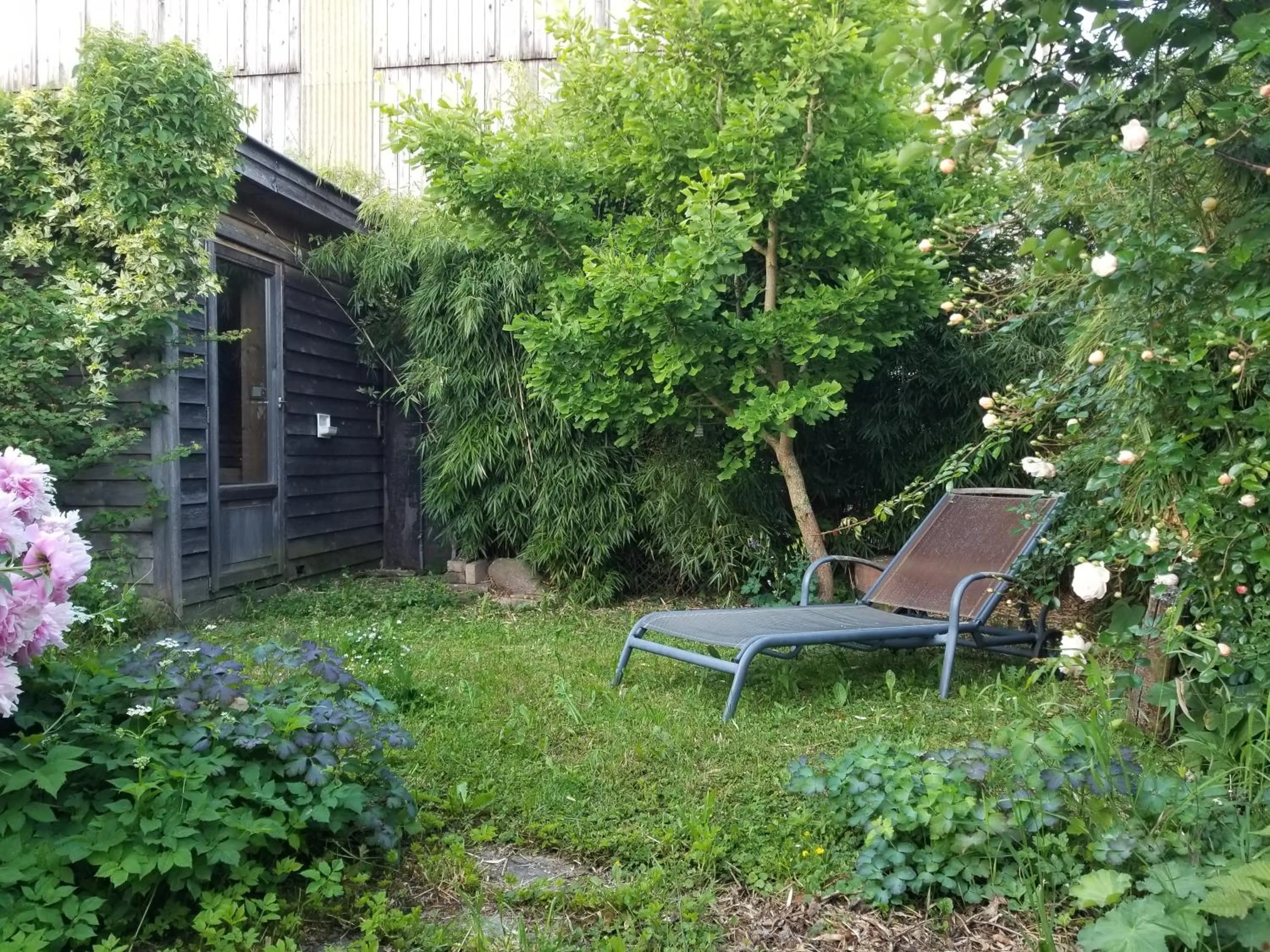 Garden in chambre d'hôtes de charme, un temps en forêt
