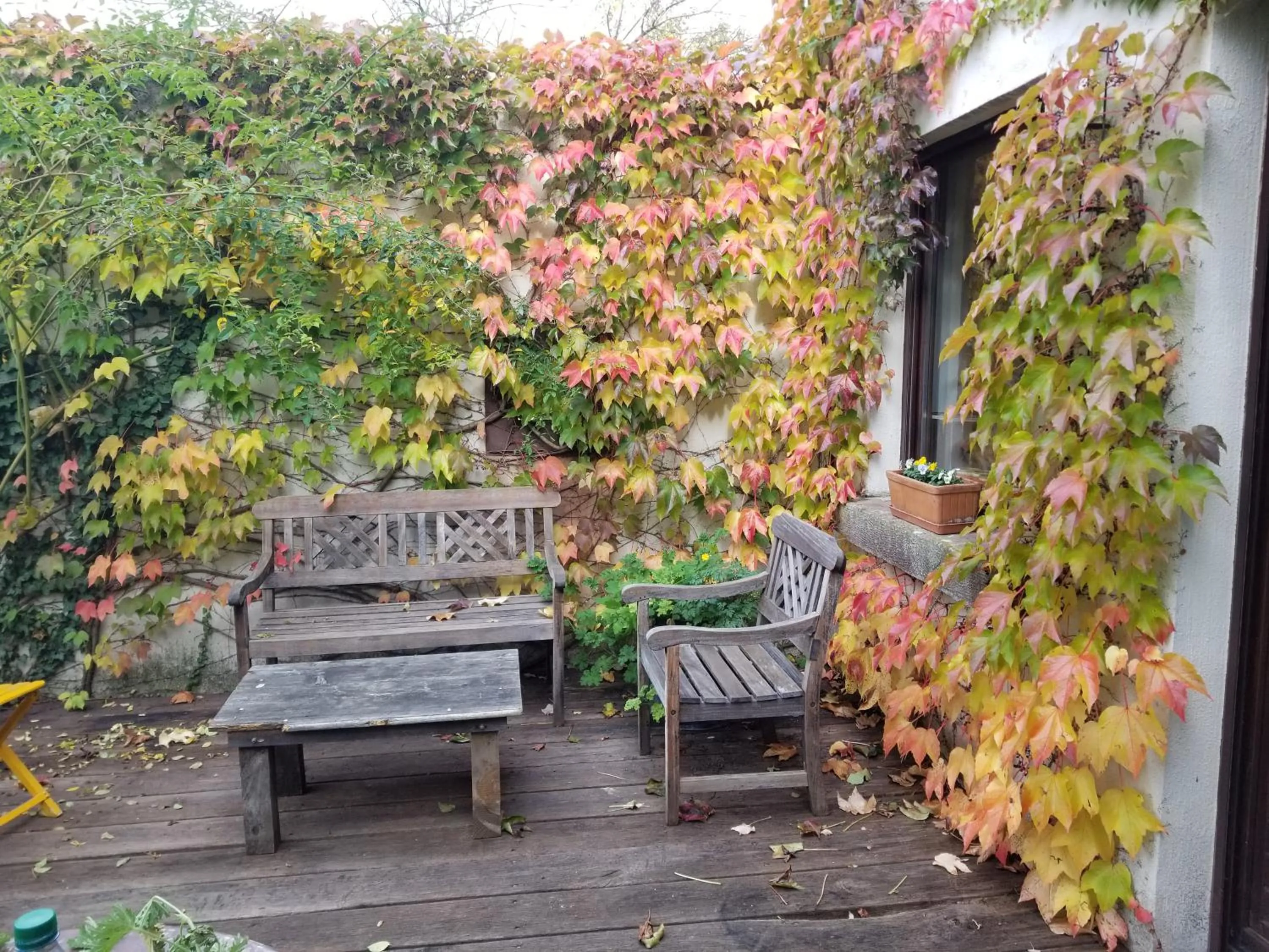 Balcony/Terrace in chambre d'hôtes de charme, un temps en forêt