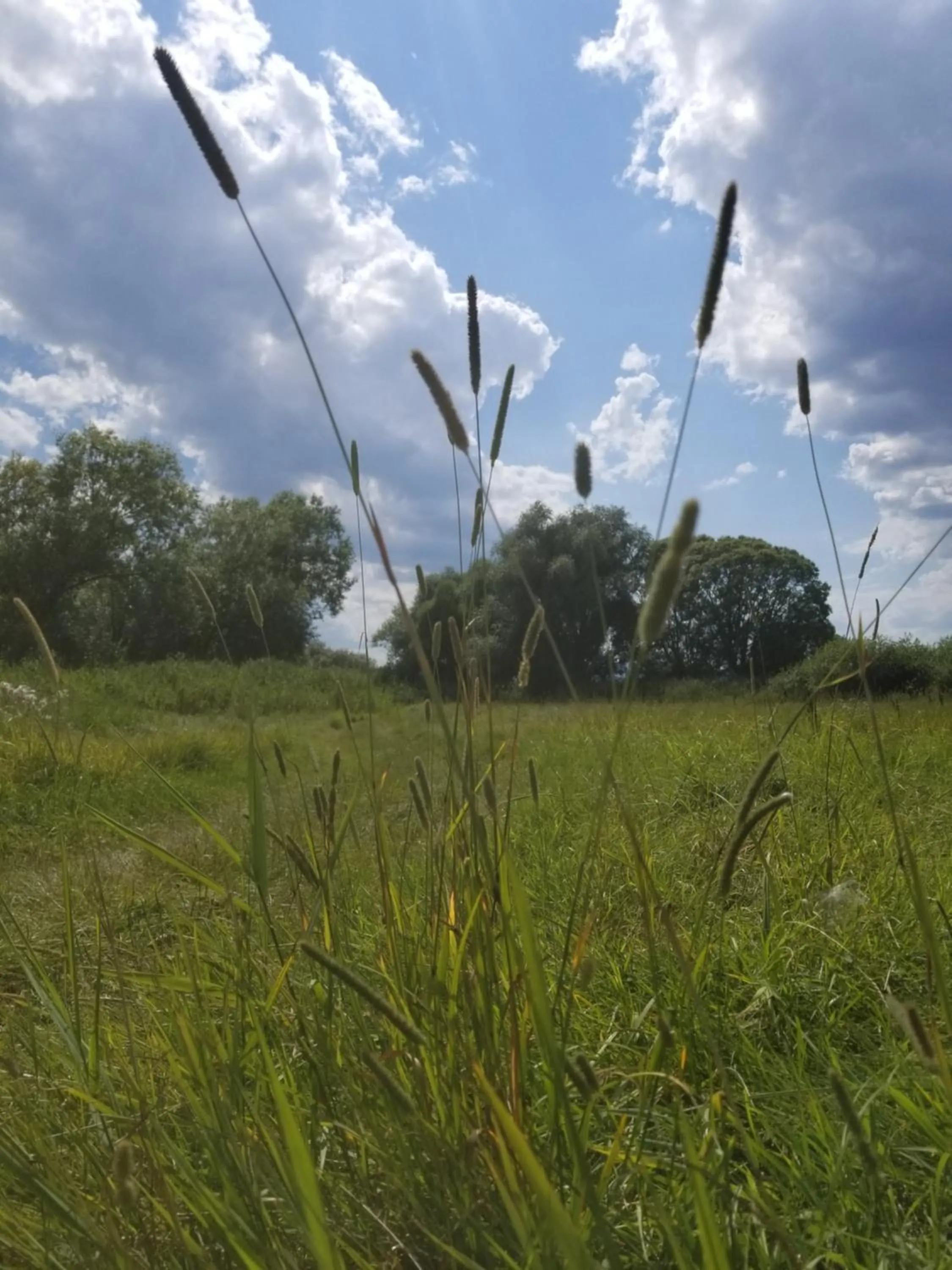 Natural landscape in chambre d'hôtes de charme, un temps en forêt