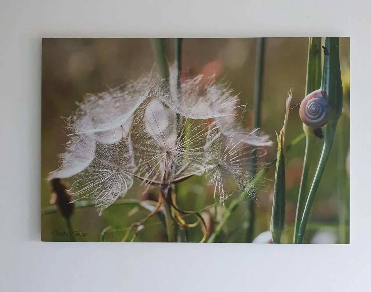 Decorative detail in chambre d'hôtes de charme, un temps en forêt
