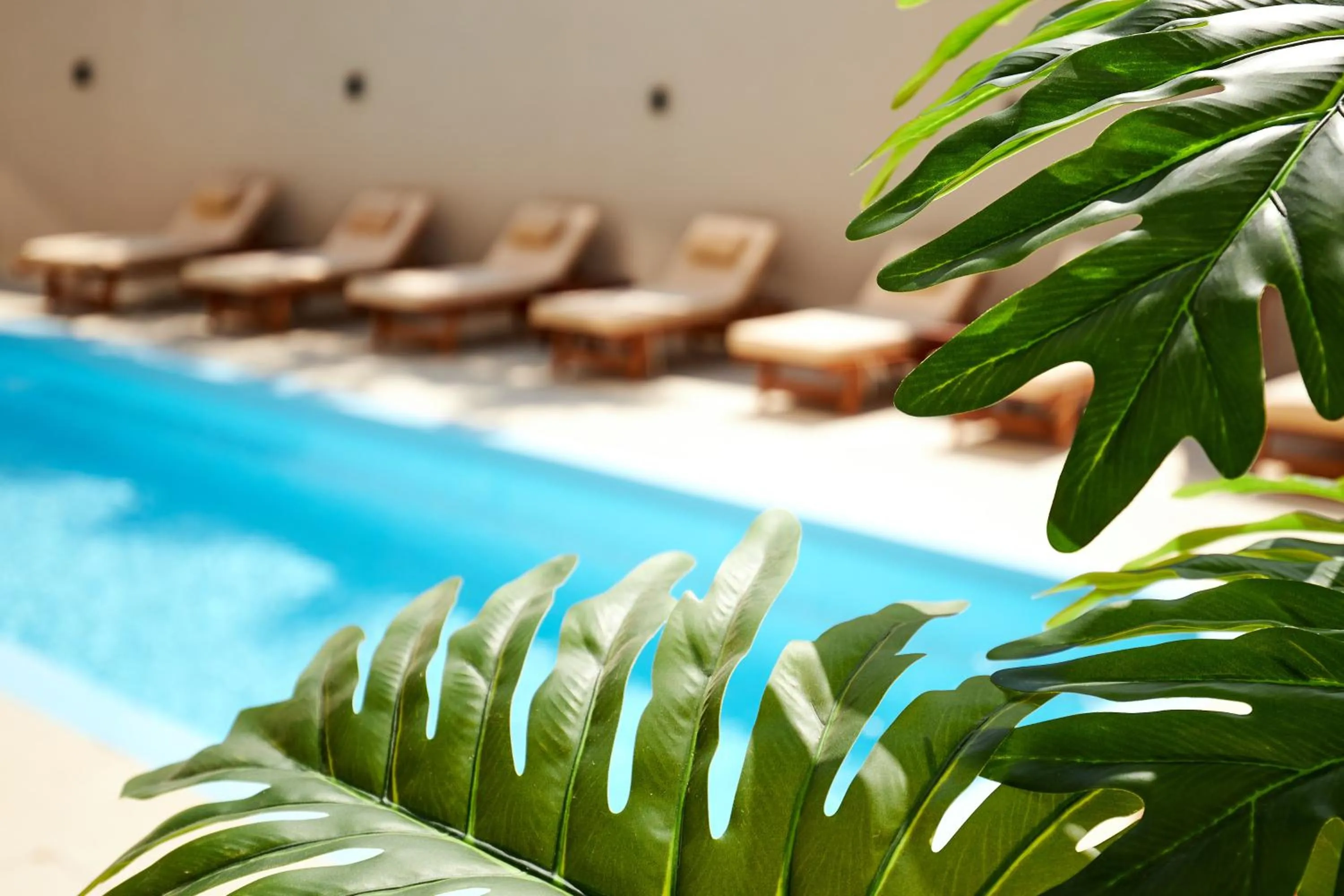 Swimming pool in Lotus Rise Hotel - Adults Only