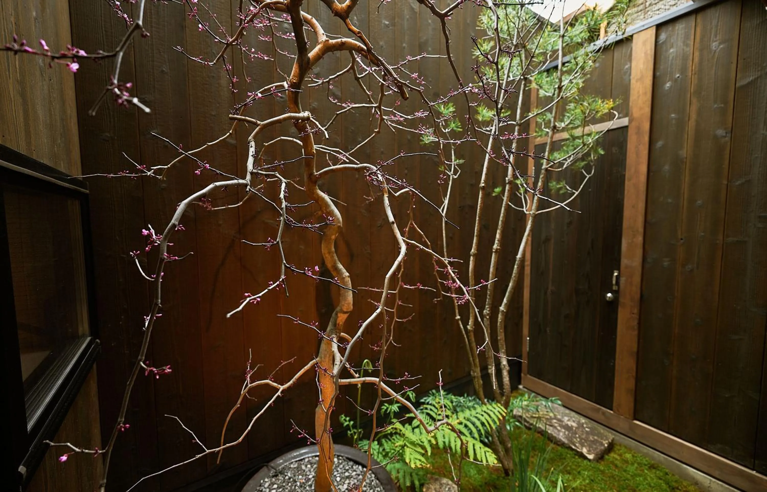 Garden in Tasokare Machiya House